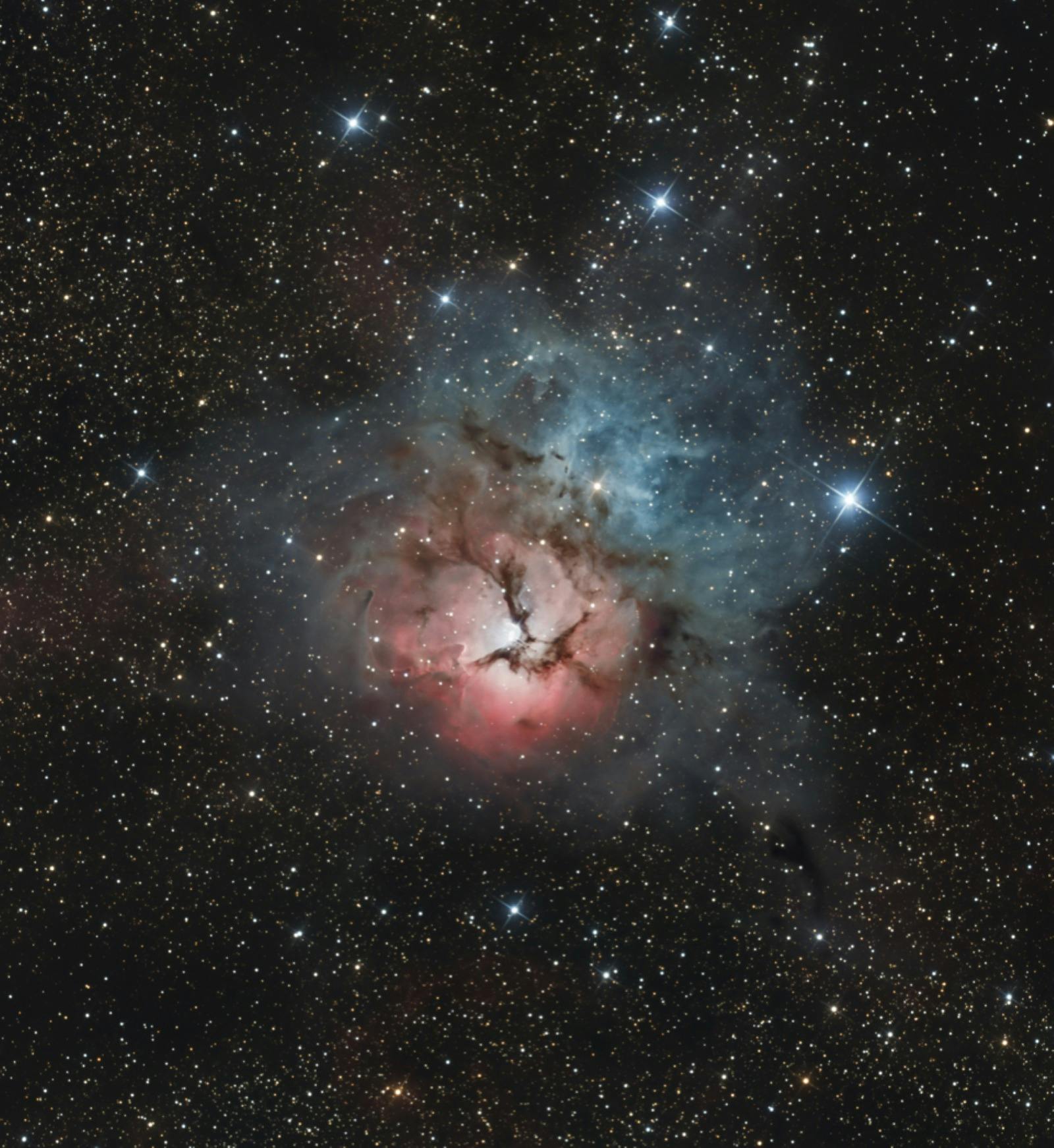 Trifid Nebula photographed during the Night Sky Journey