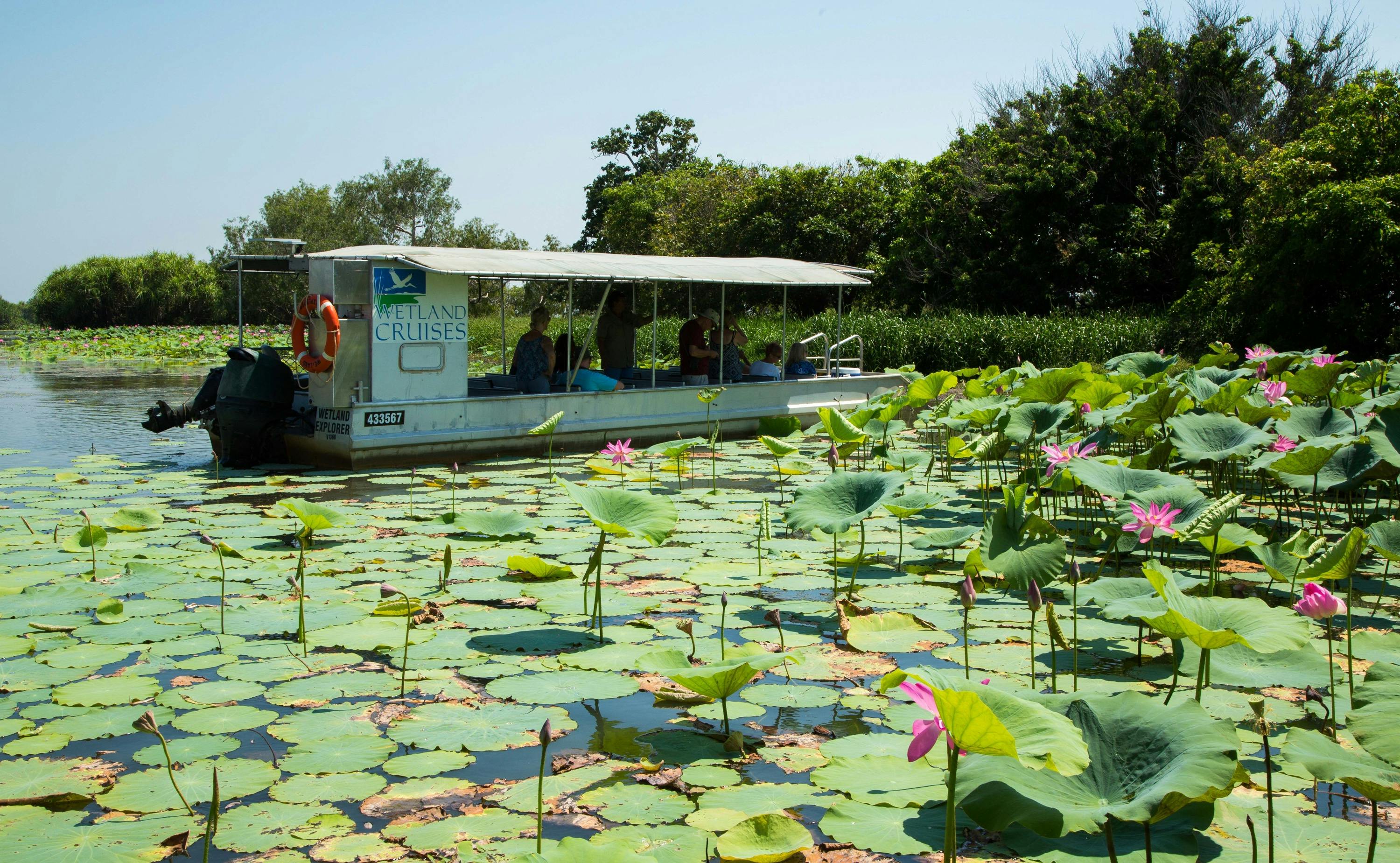 Wetland explorer vessel