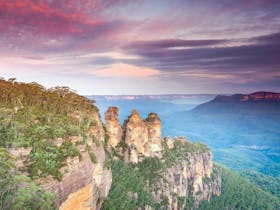 Wildlife Tours Australia - Sydney