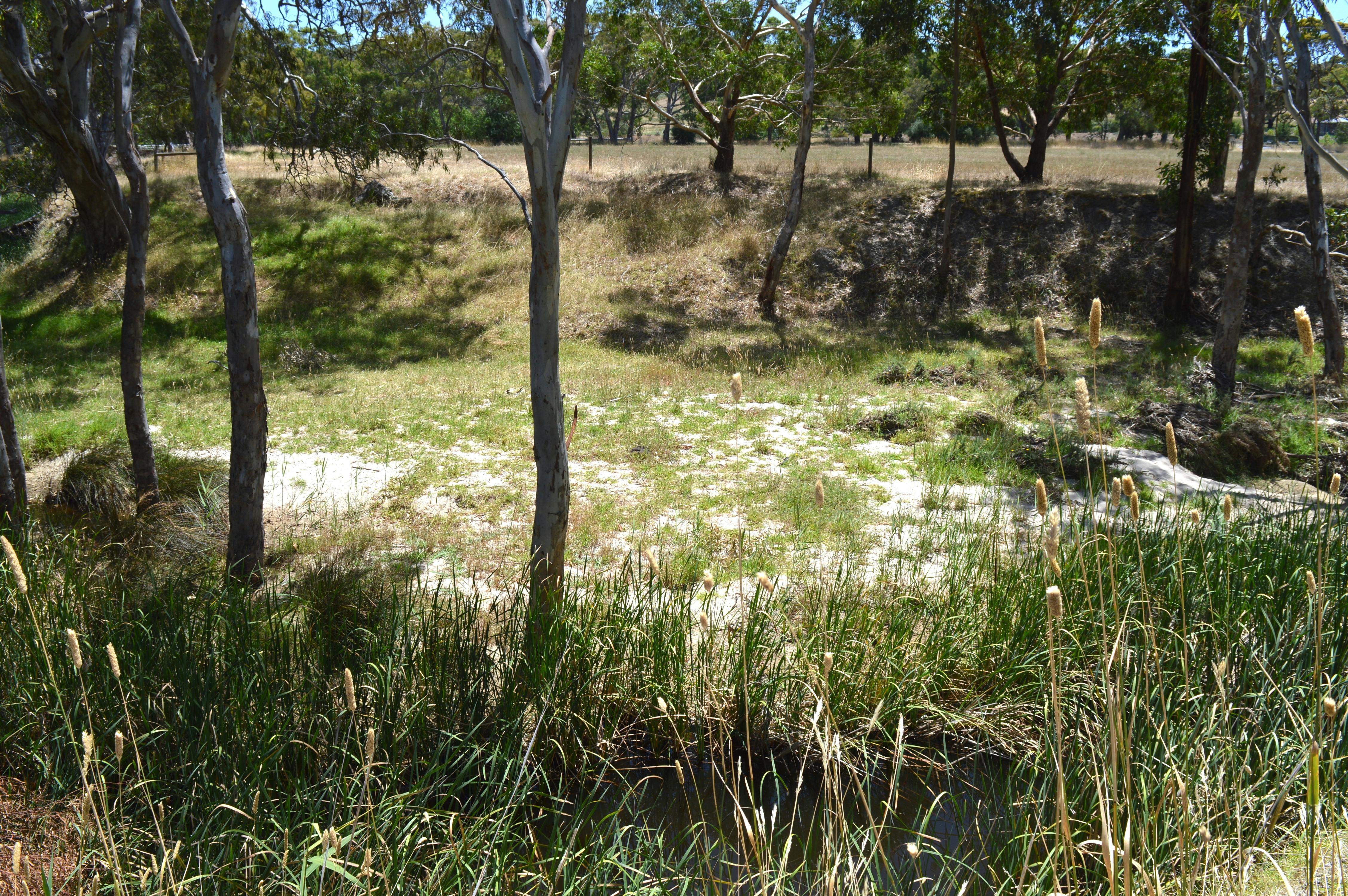 Back Valley Creek  showing Bunny Beach