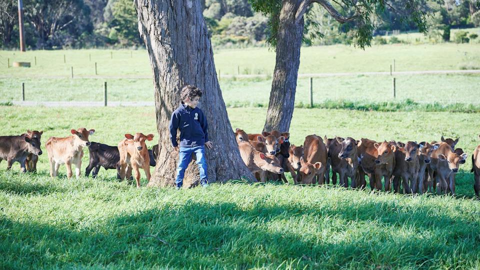 Duck River Meadows Robotic Dairy & Cheese Tour photo