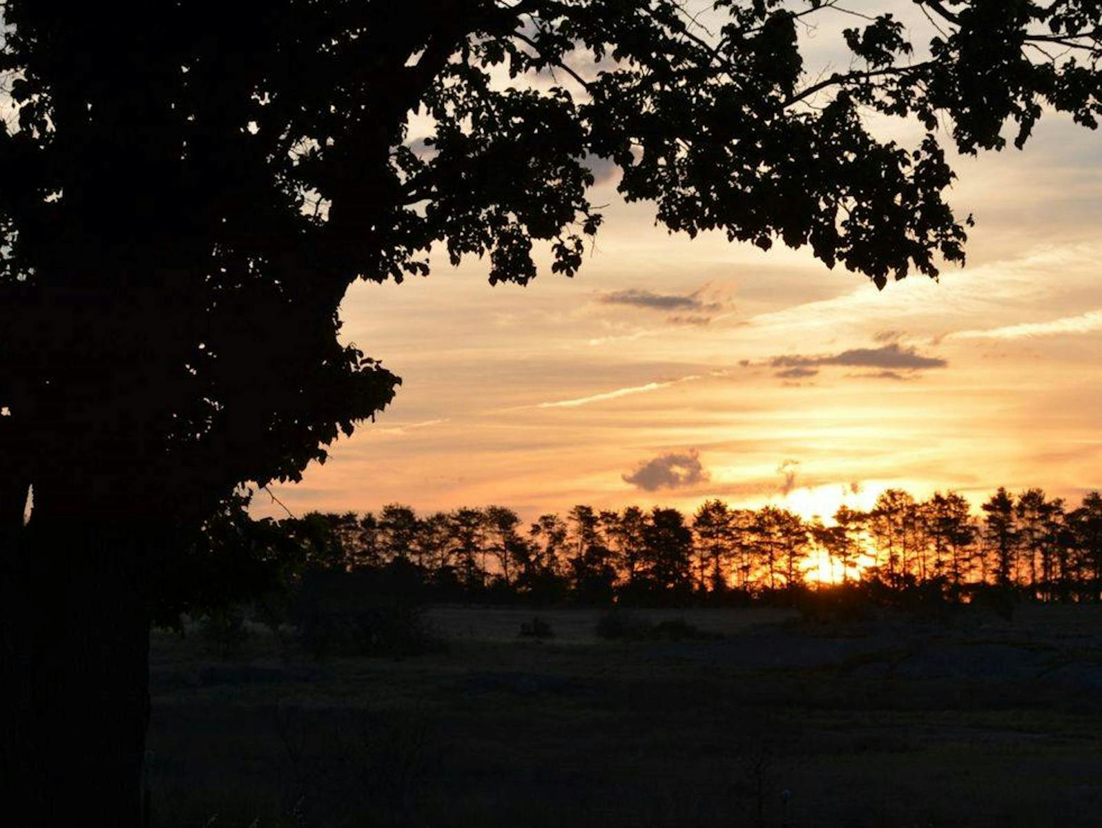Dangars-Lagune und Racecourse-Lagune
