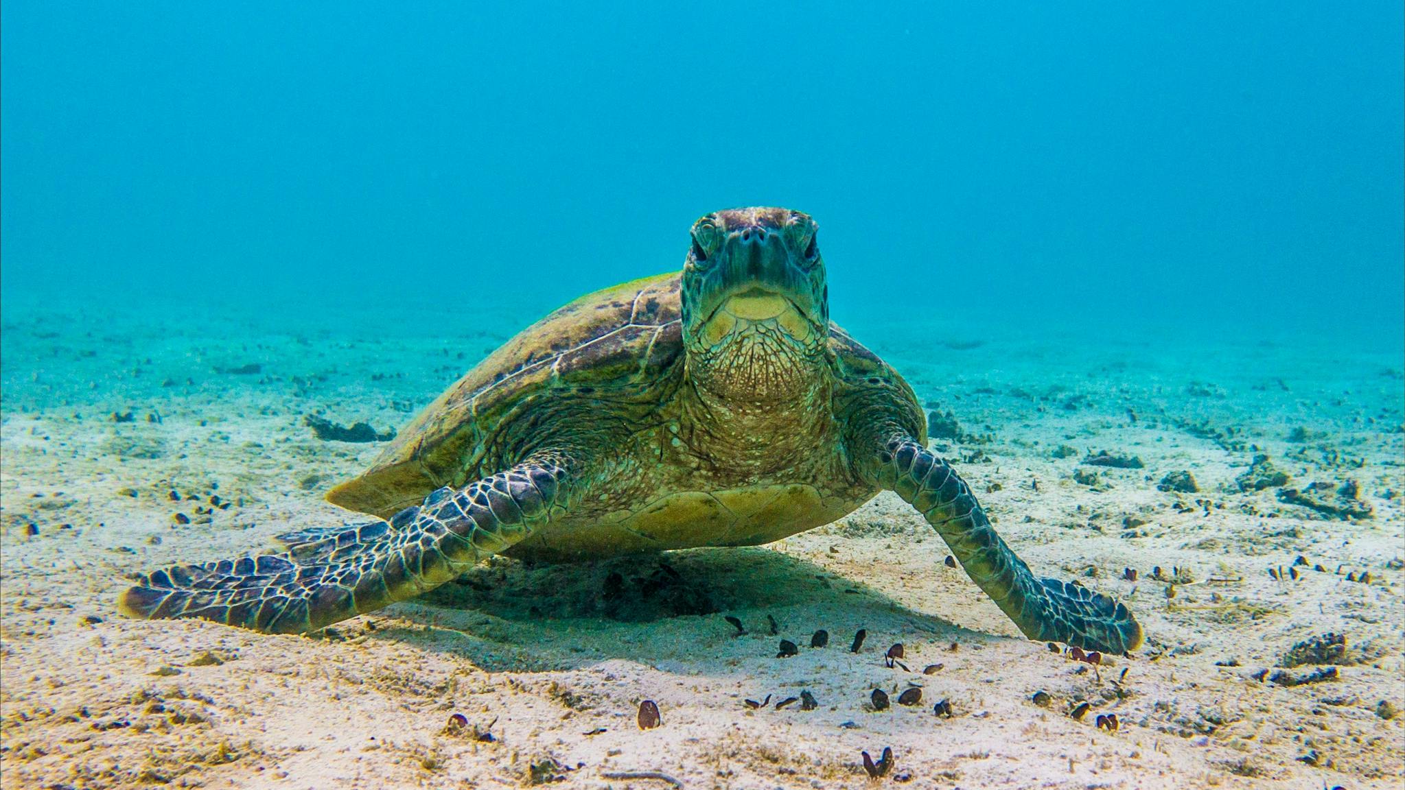 Ocean Eco Adventures, Exmouth, Western Australia