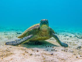 Ocean Eco Adventures, Exmouth, Western Australia