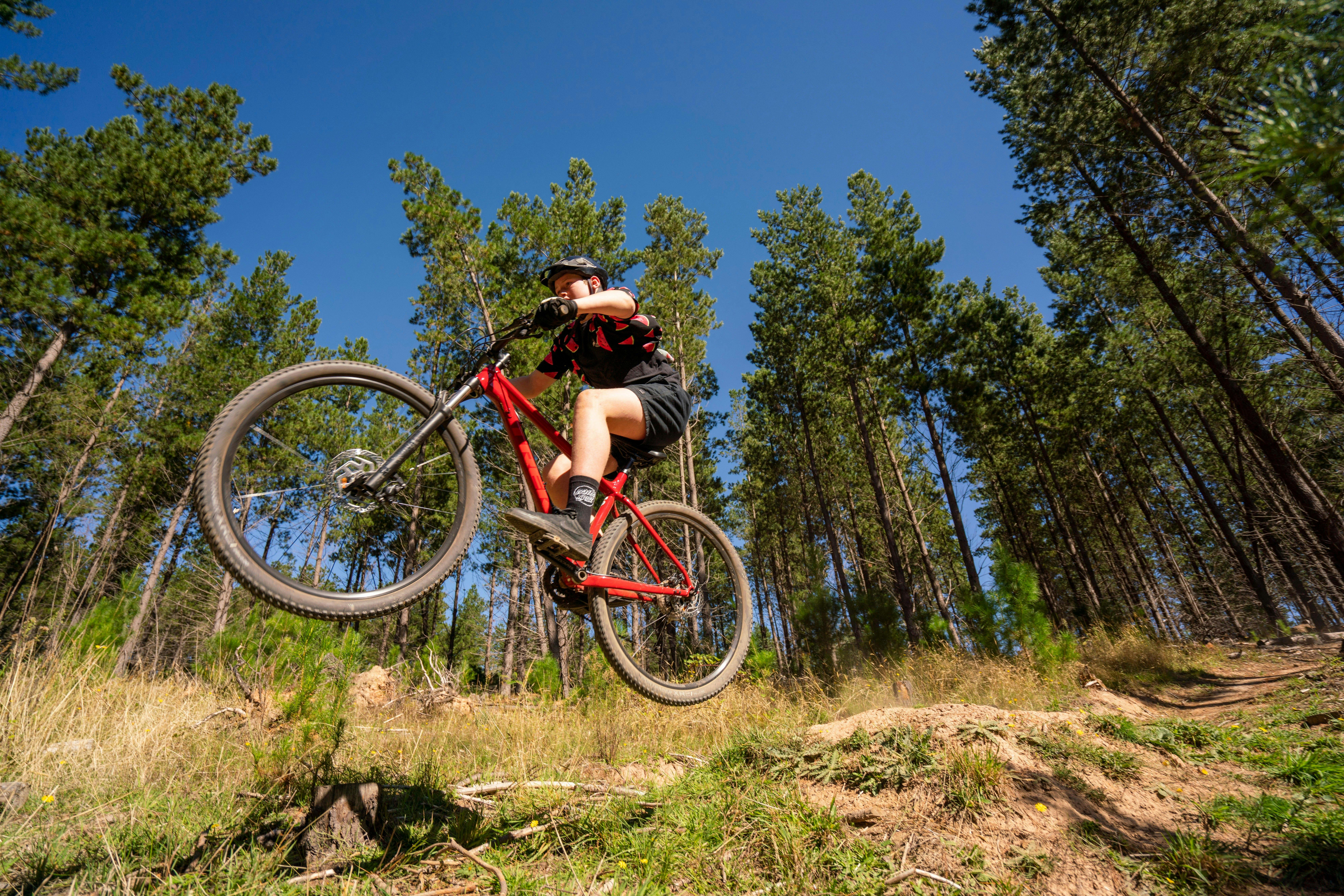 Masons Hill MTB trail