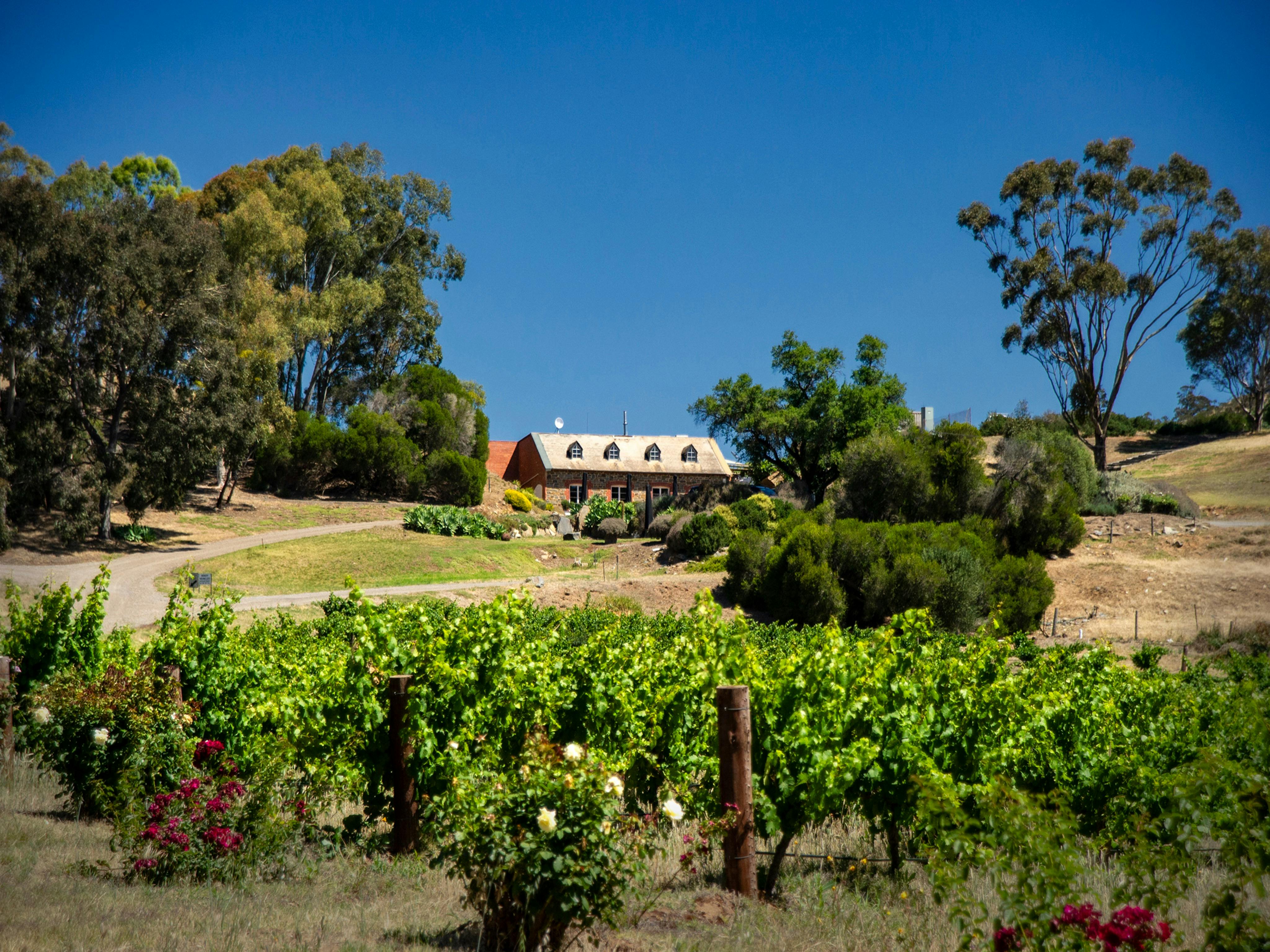 Bethany, Barossa Valley