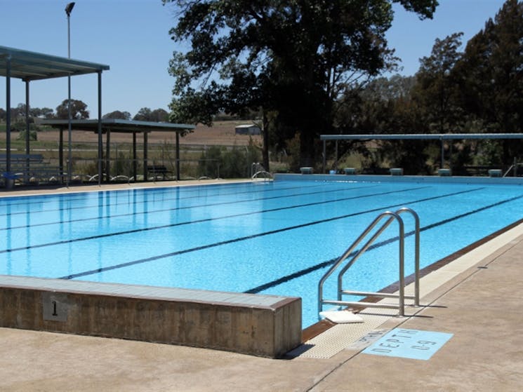 Molong Swimming Pool