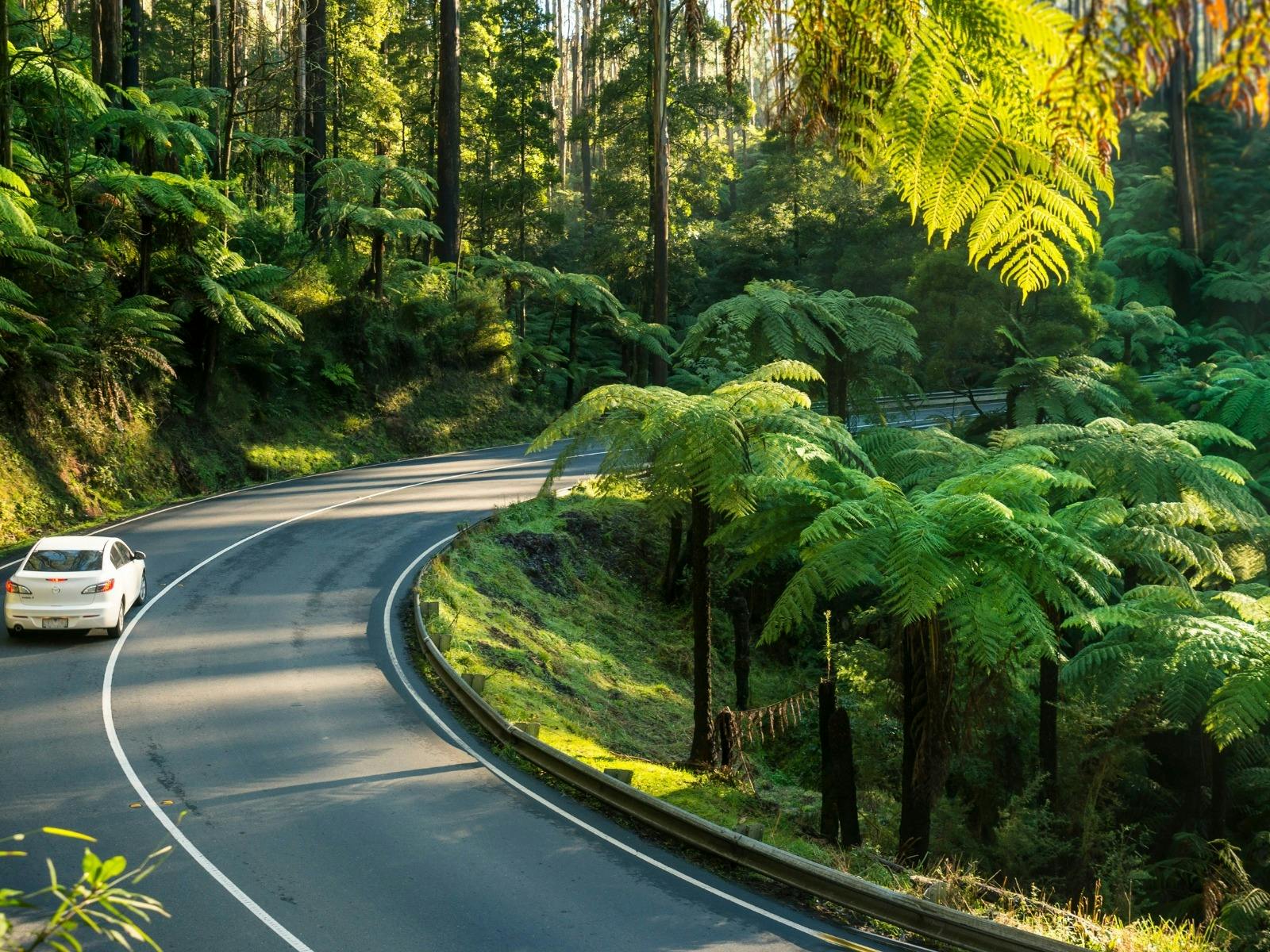 Europcar Melbourne City