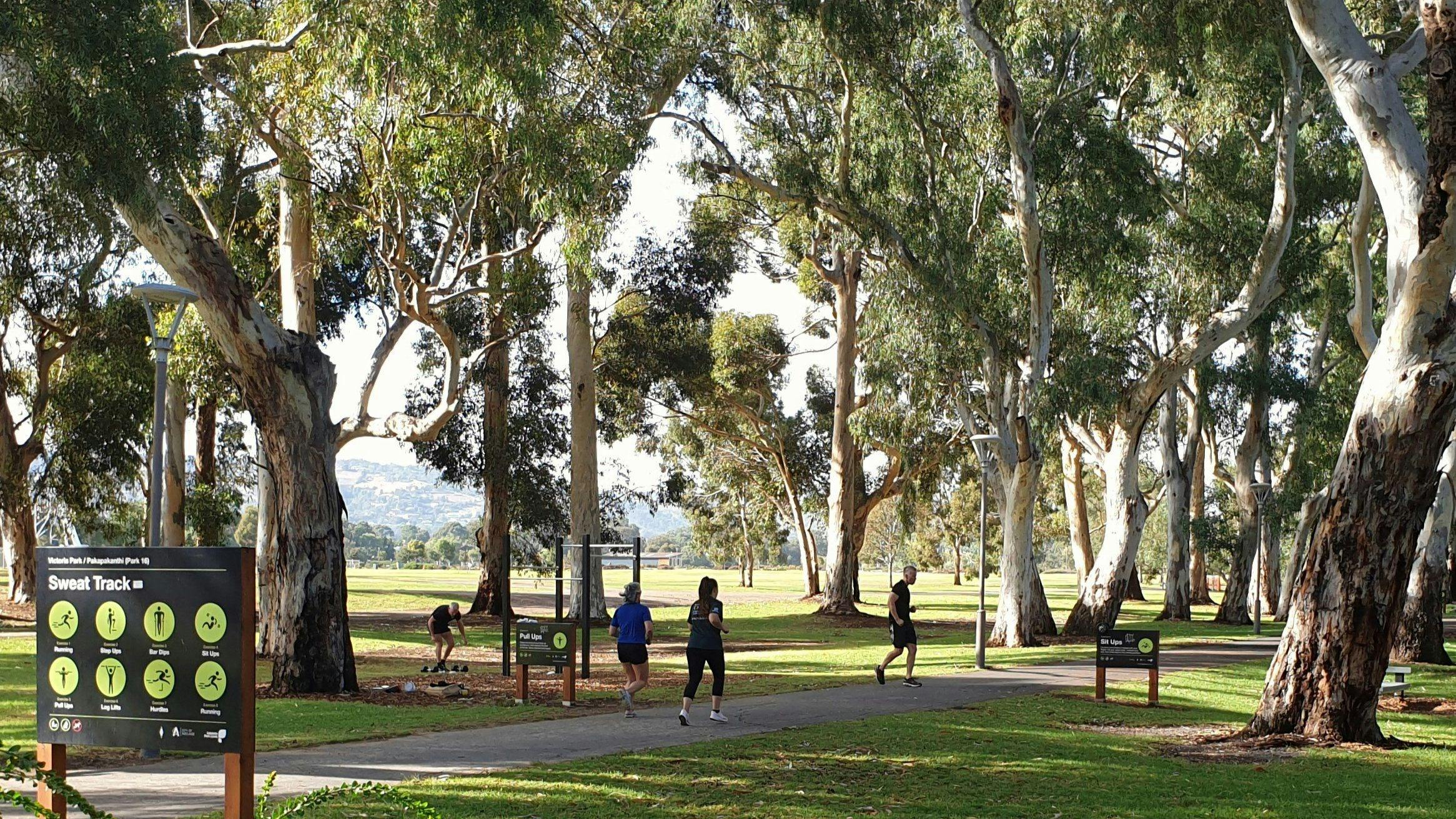 Adelaide Parklands Guided Walk - Victoria Park / Pakapakanthi (Park 16) Northern Half