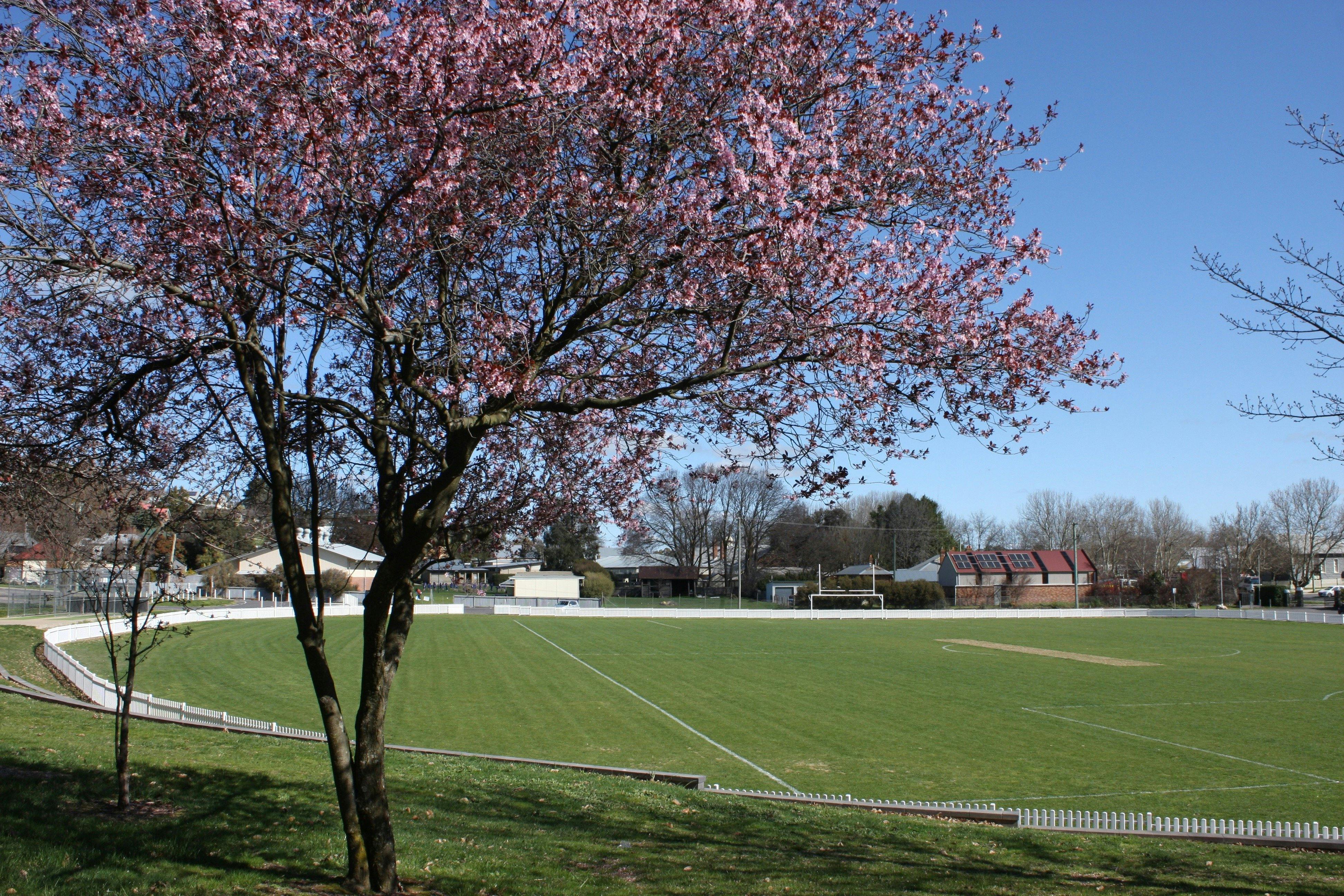 Redmond Oval
