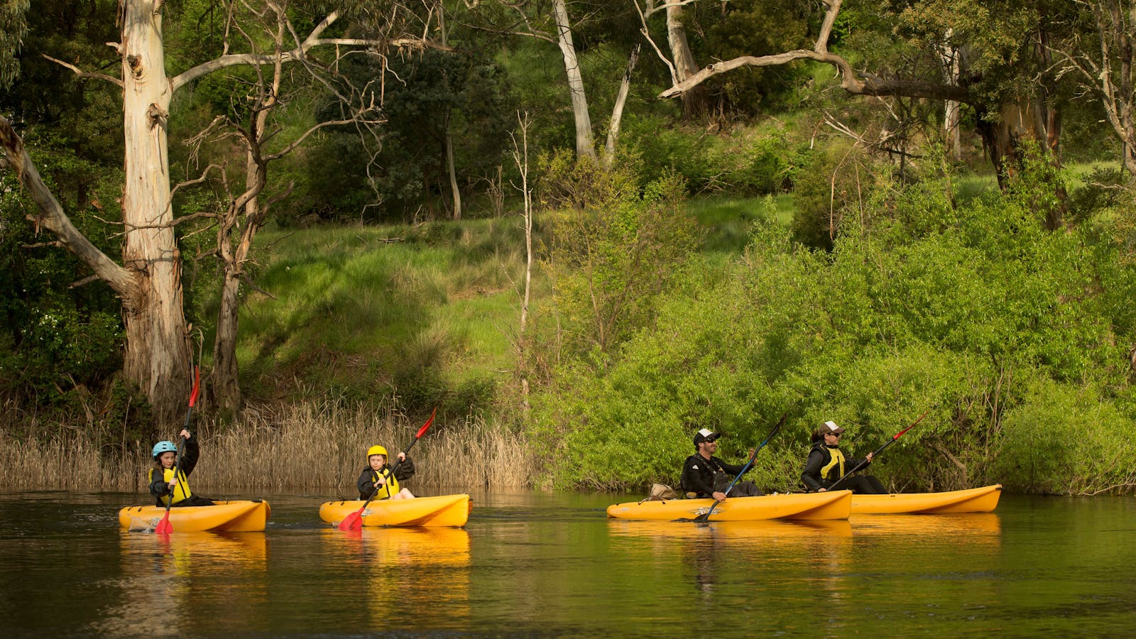 Paddle with the Platypus Adventure