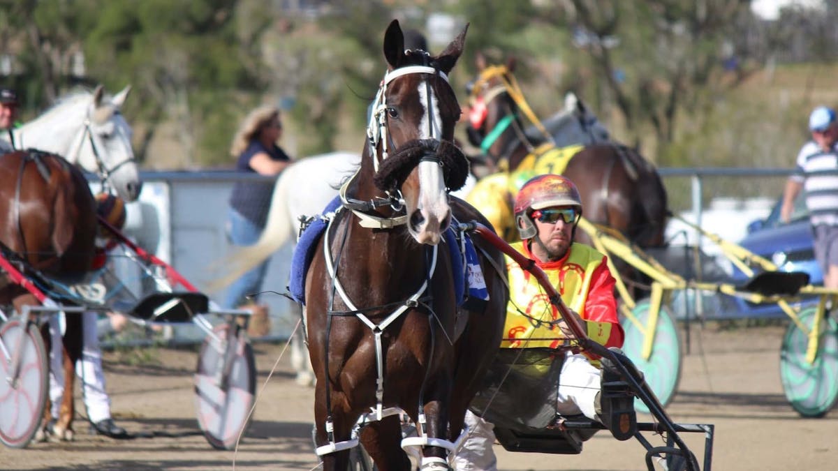 Marburg Harness Racing Association | Ipswich