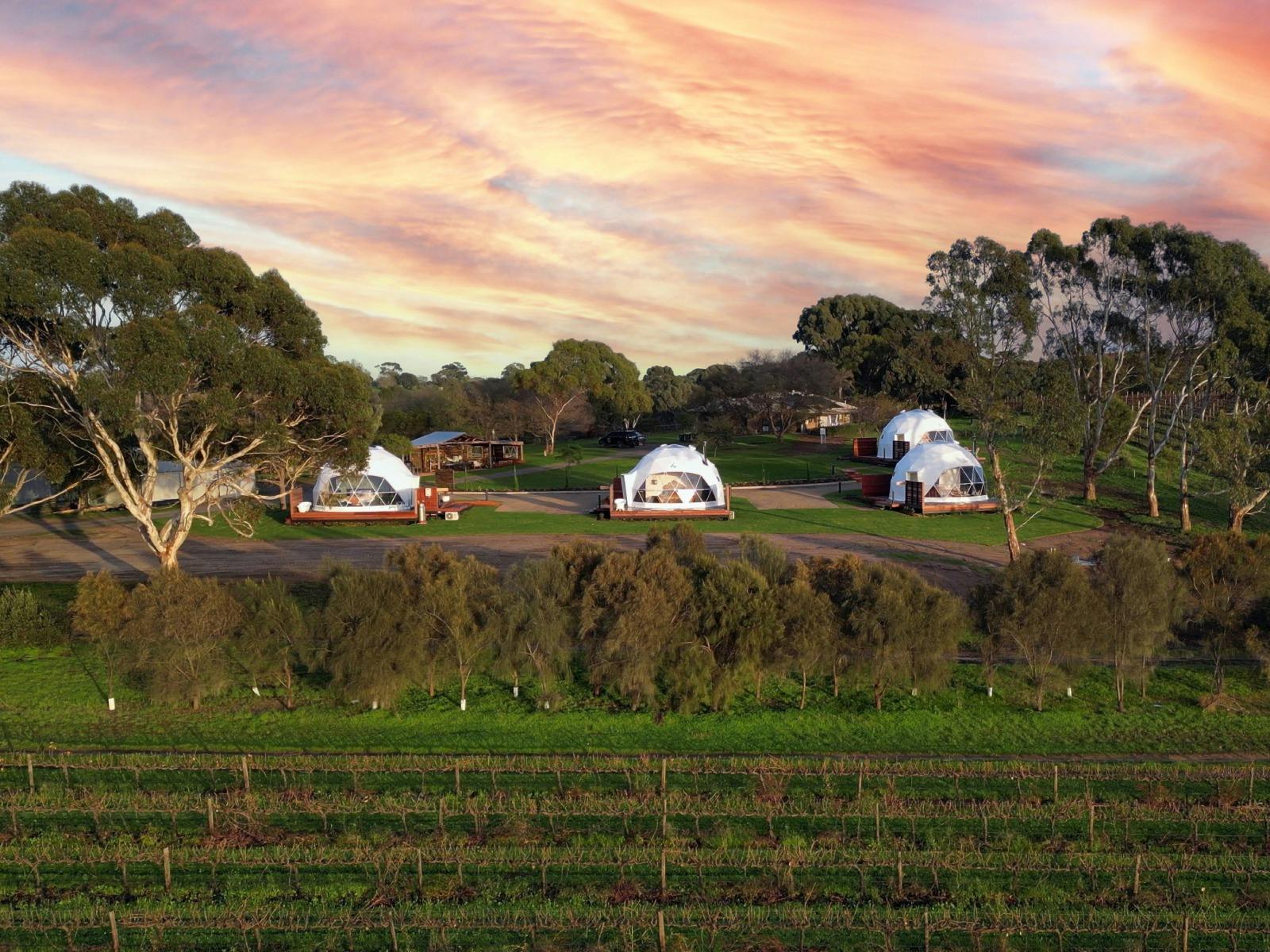 Geodesic accomodation pods set amongst the vines with pastel sunset