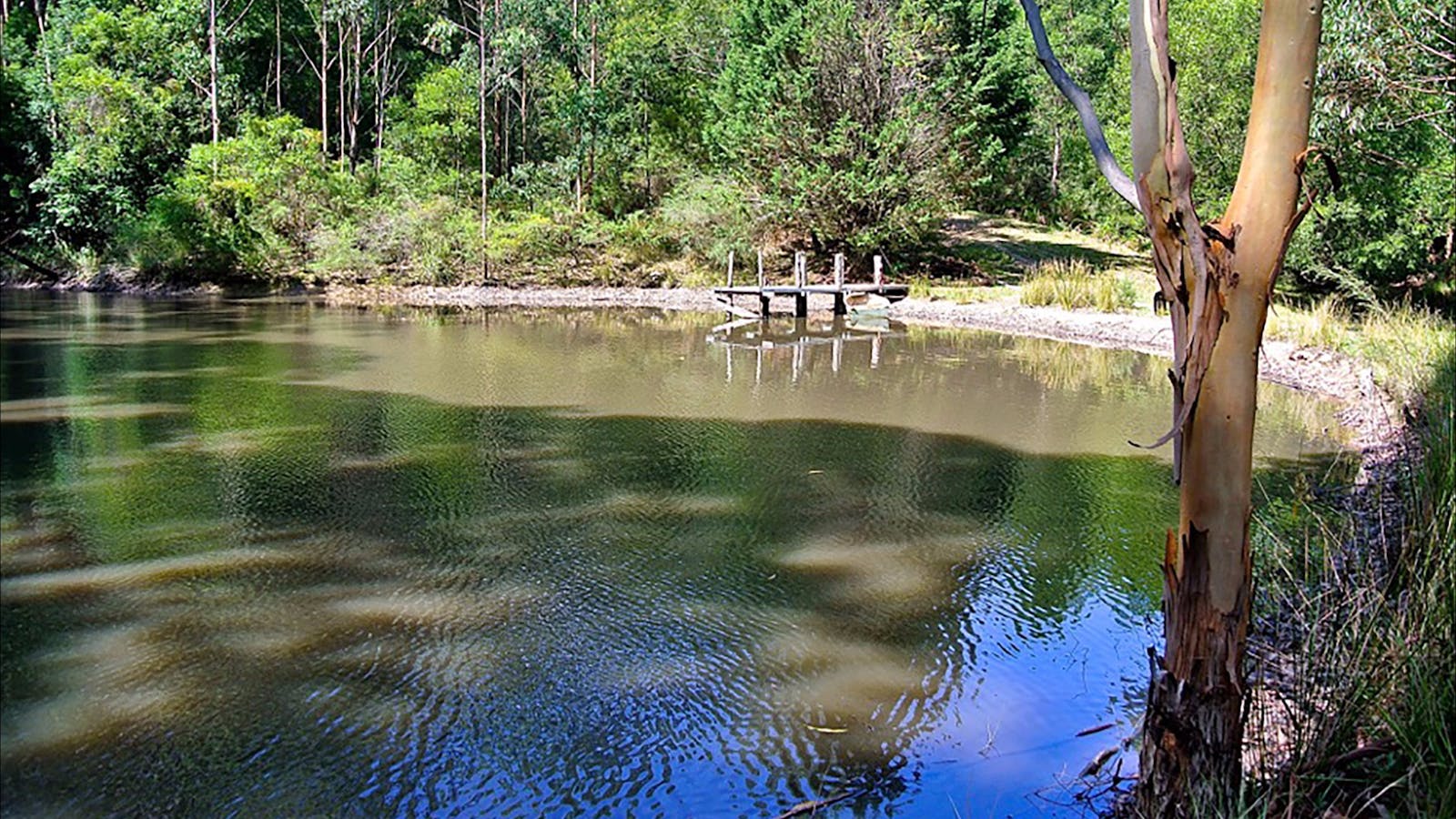 Lyrebird Ridge Organic Winery and Retreat