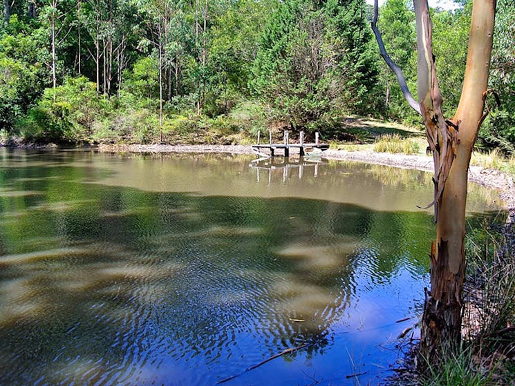 Jetty on the Dam