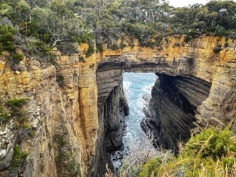 Tasman Arch