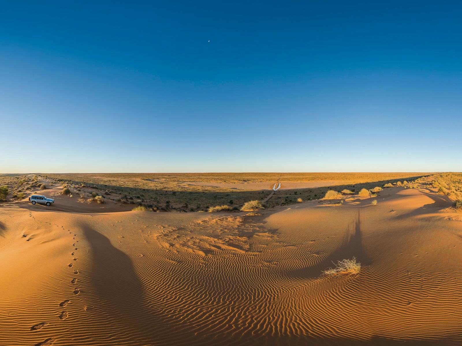 Birdsville Track