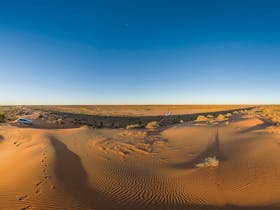 Big Red Birdsville