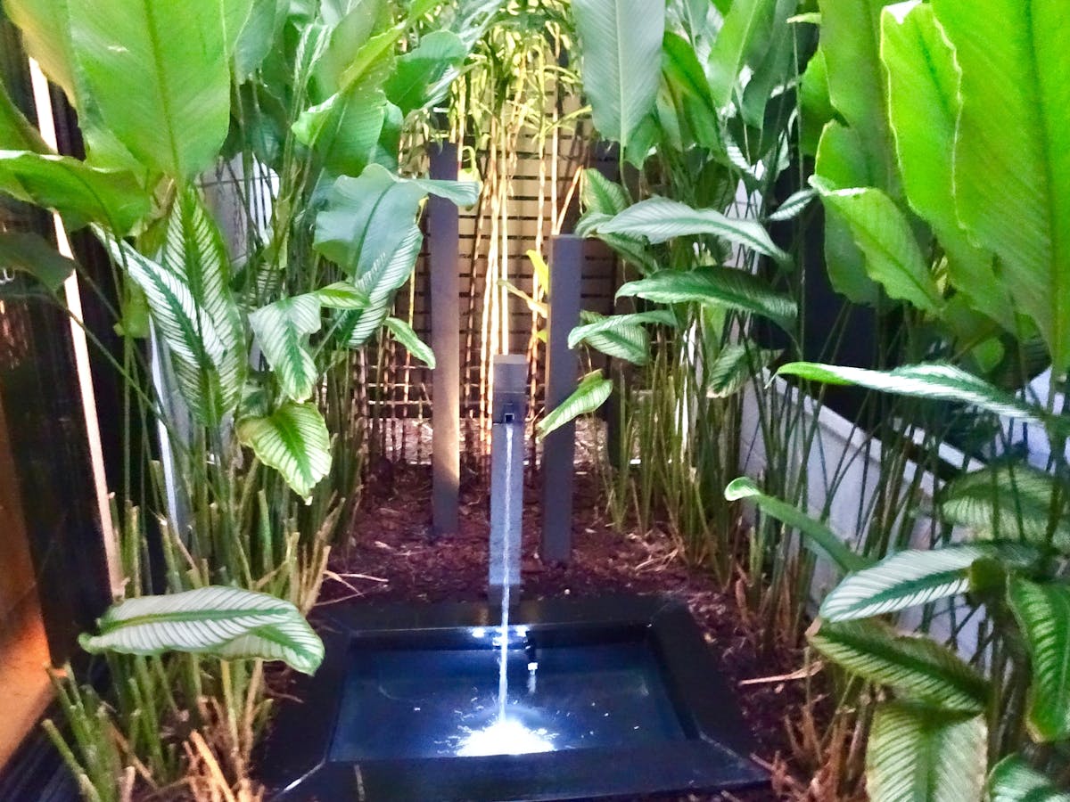 A water feature and garden are lit up at night, nestled in between the buildings.