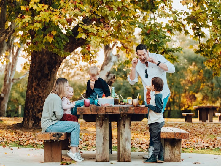 Murray River Precinct - Picnic Table