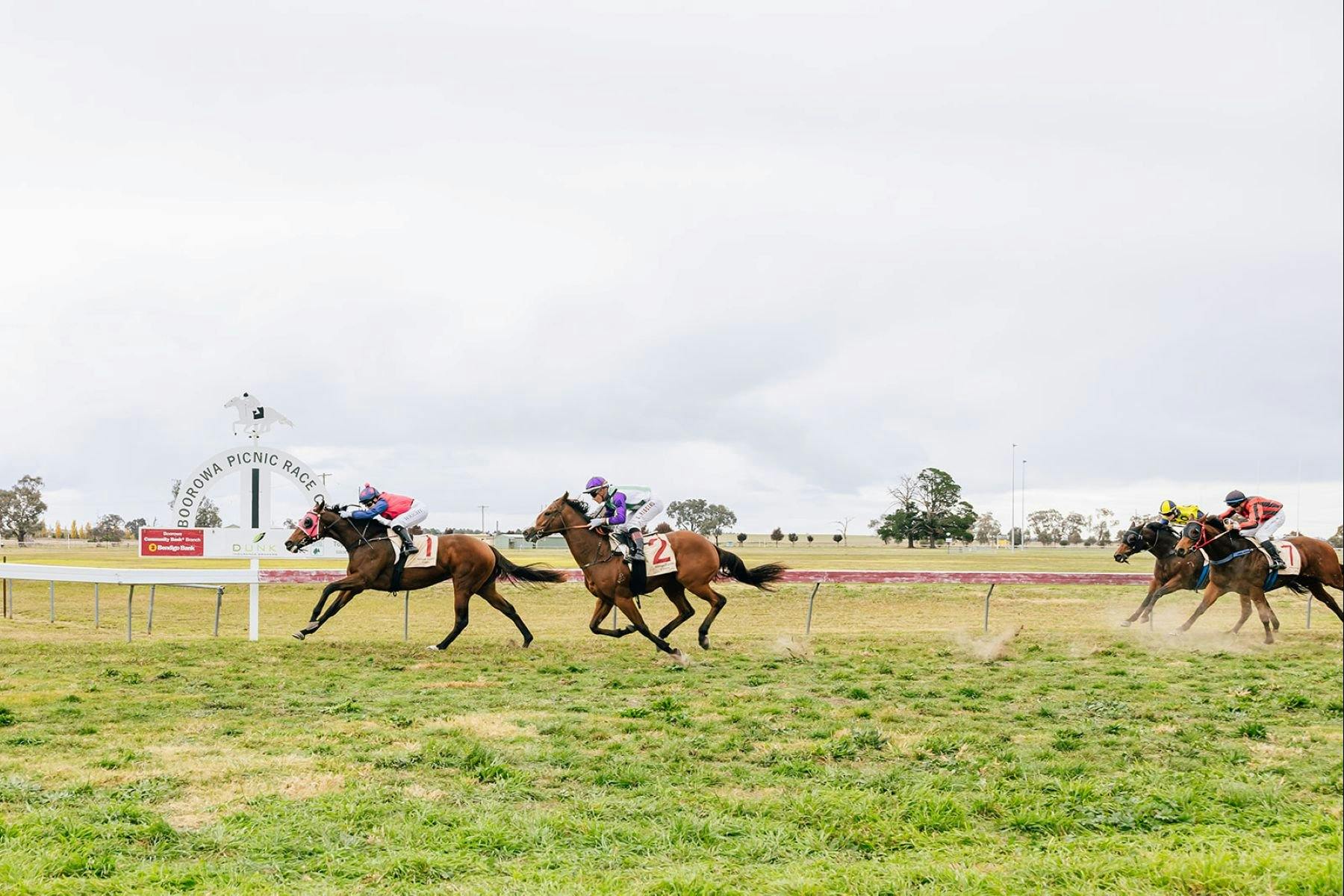 Horses racing with jockeys