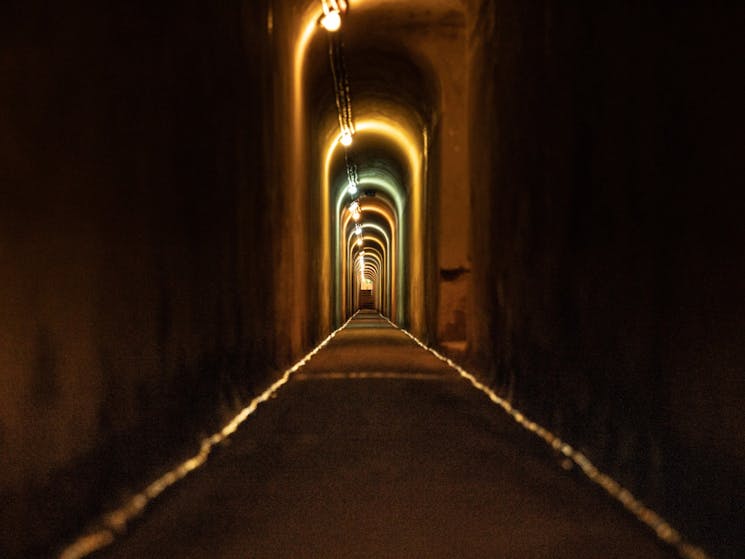 North Fort-North Head Sanctuary-Manly