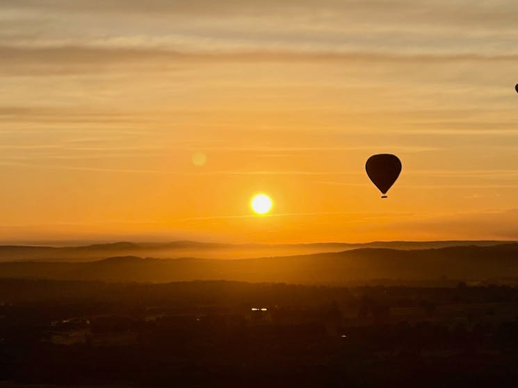 Hot Air Balloon Rise Hunter Valley