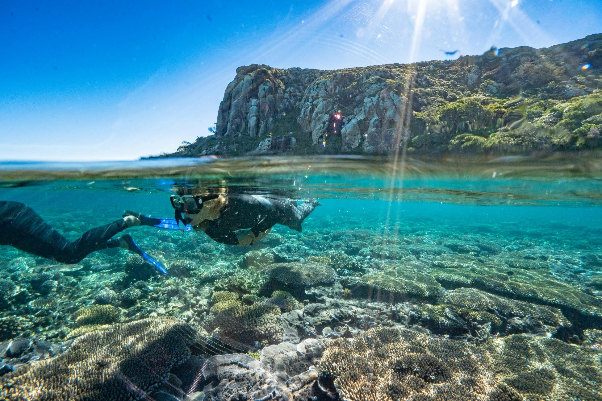 Snorkel Great Keppel Island with Freedom Fast Cats