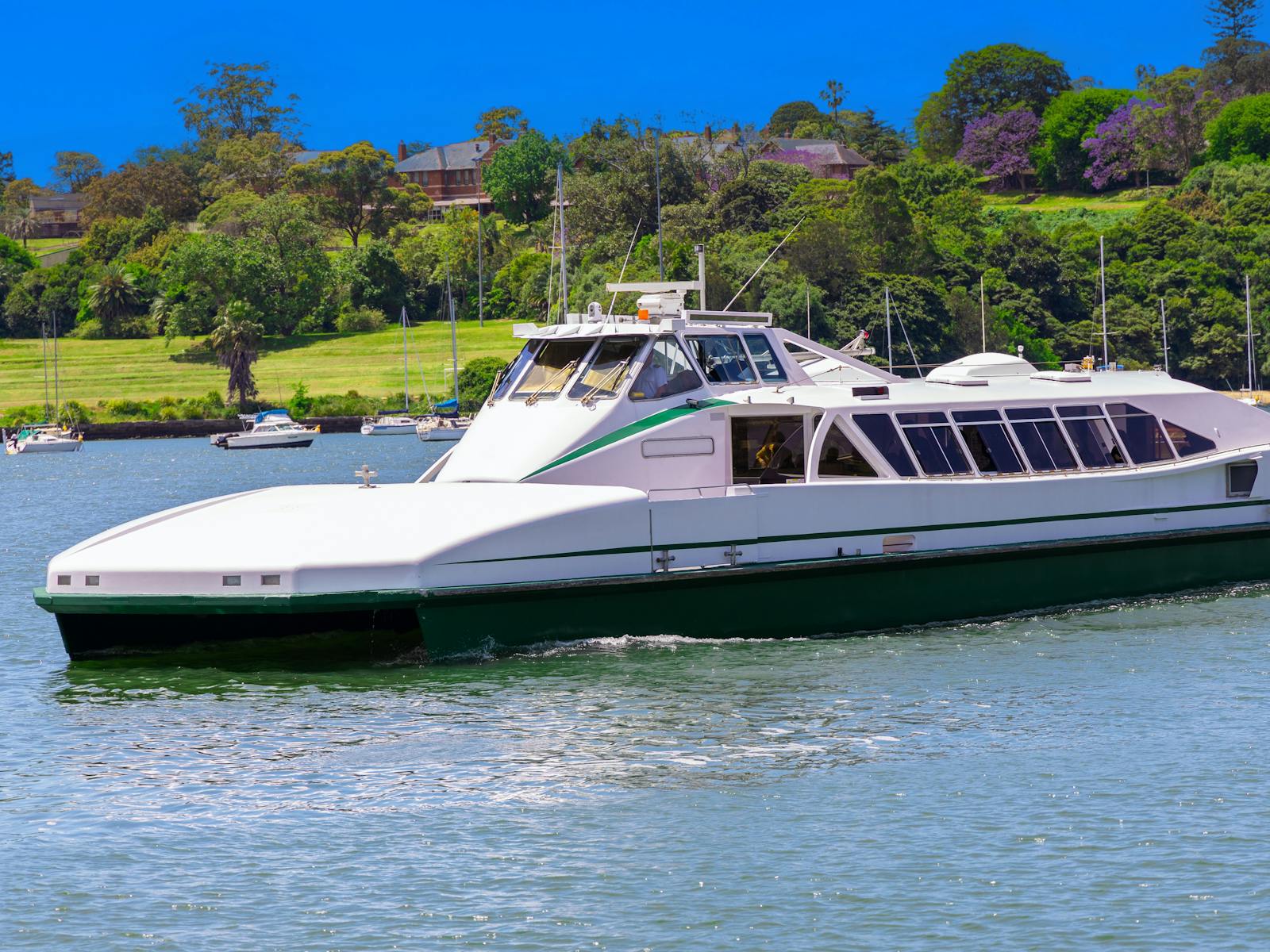 River Cat Ferry on Parramatta River