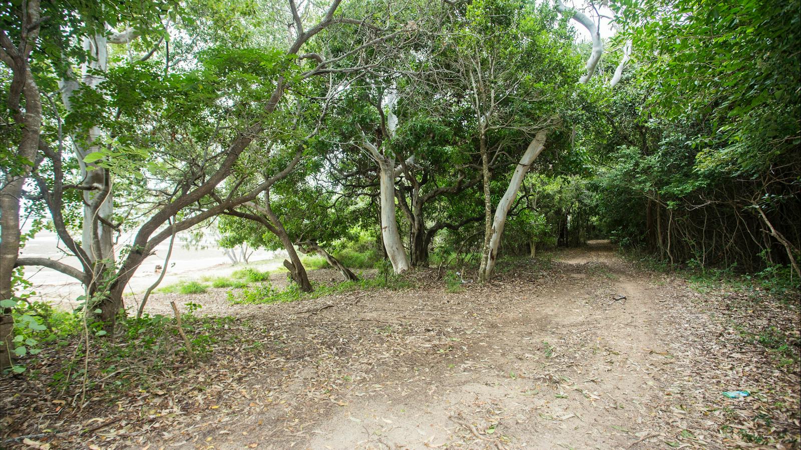 Cape Creek Beach Access