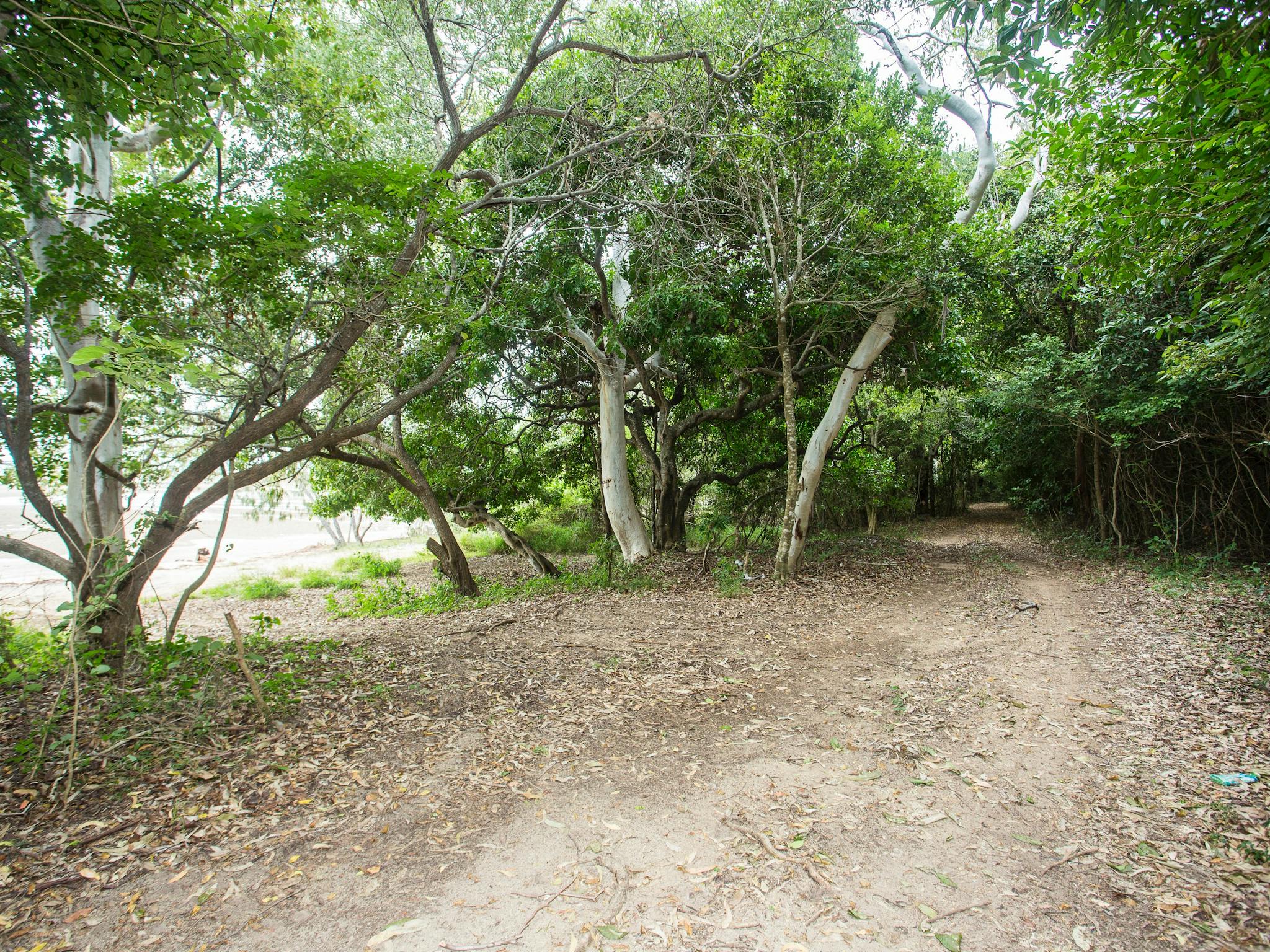 Cape Creek Beach Access Cape Creek Beach Access
