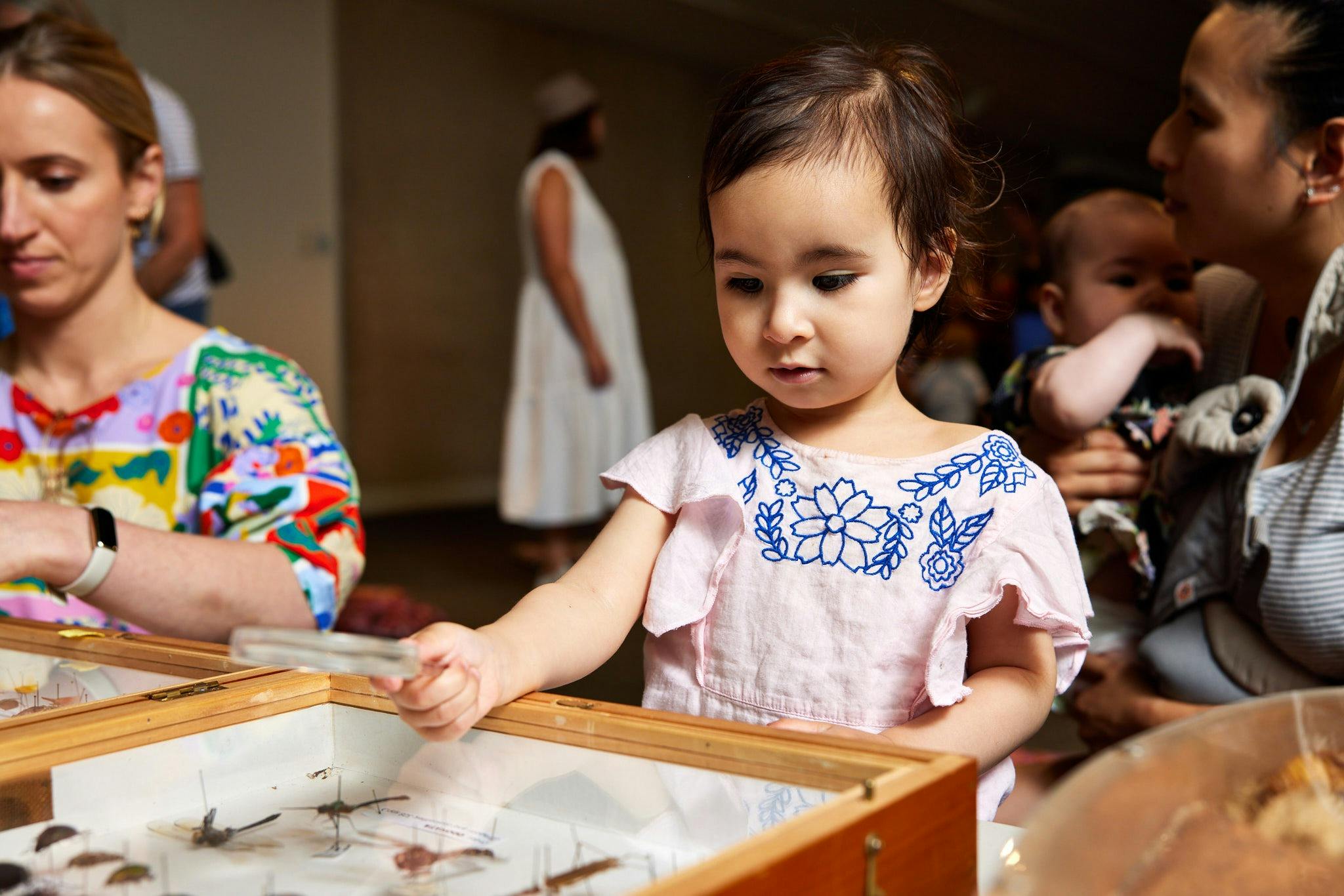 Exploring Queensland Museum collection objects