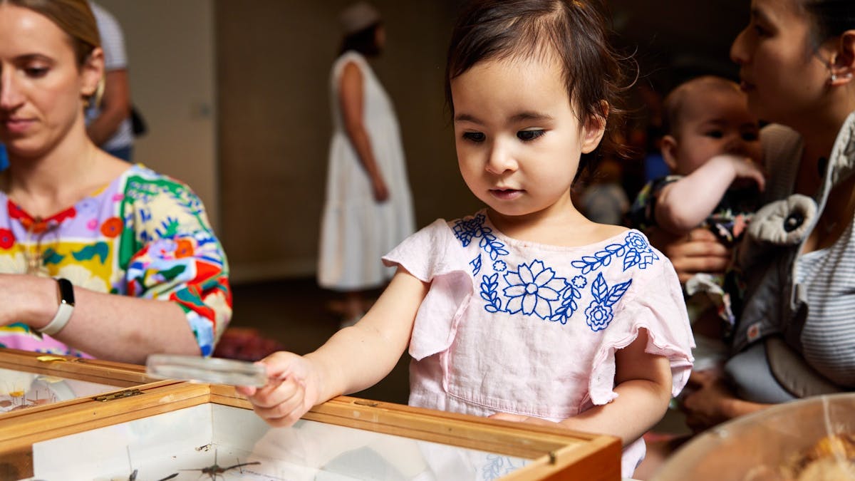 Children looking at museum display cases