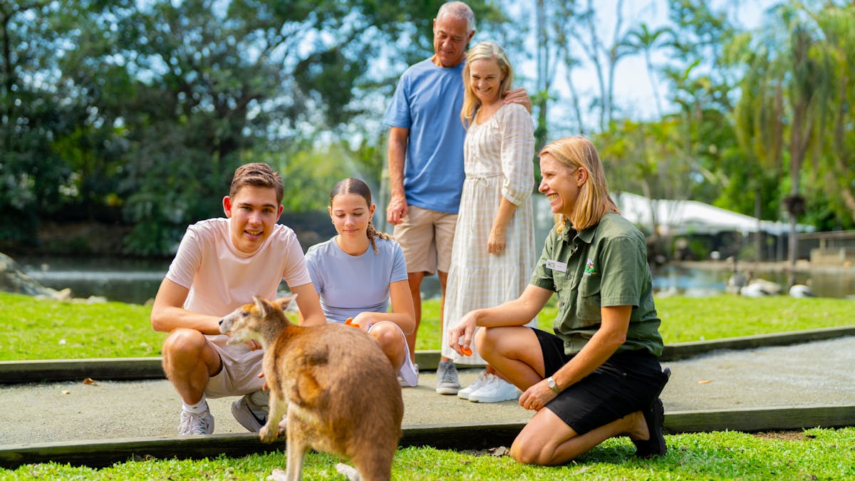 Group of 4 visitors getting up-close with a wallaby with a wildlife keeper guide at Wildlife Habitat