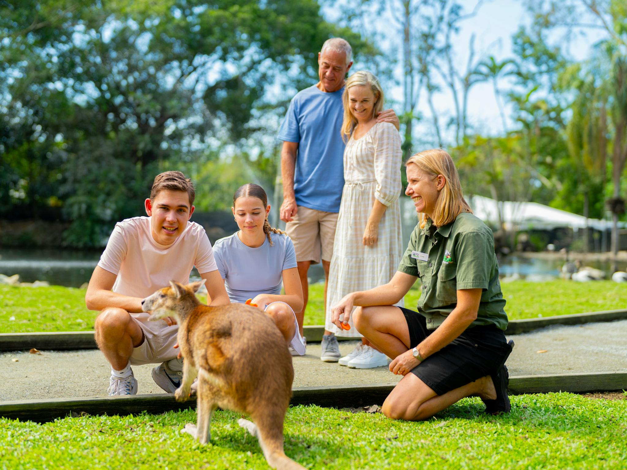 Group of 4 visitors getting up-close with a wallaby with a wildlife keeper guide at Wildlife Habitat
