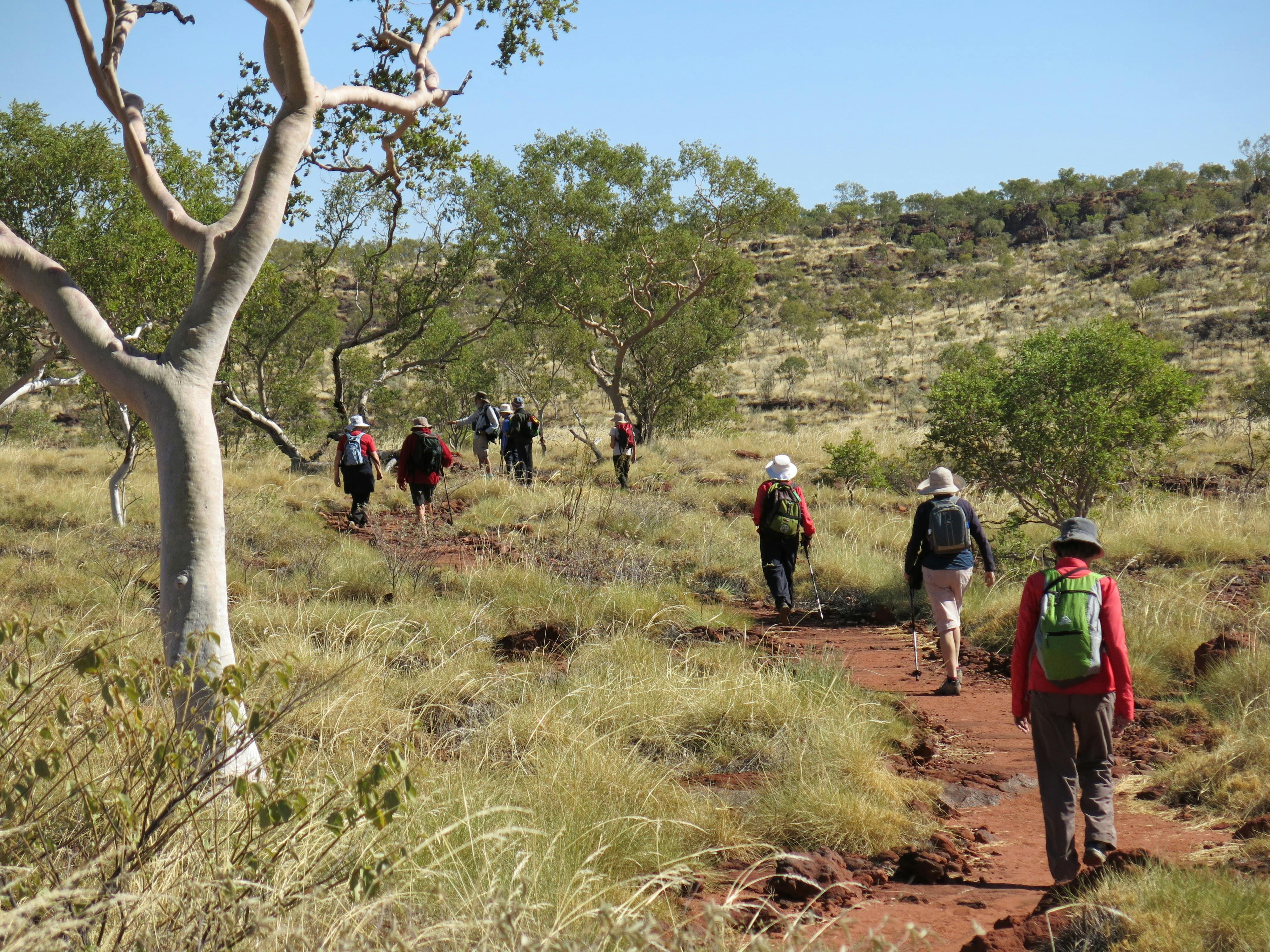 Bushwalking