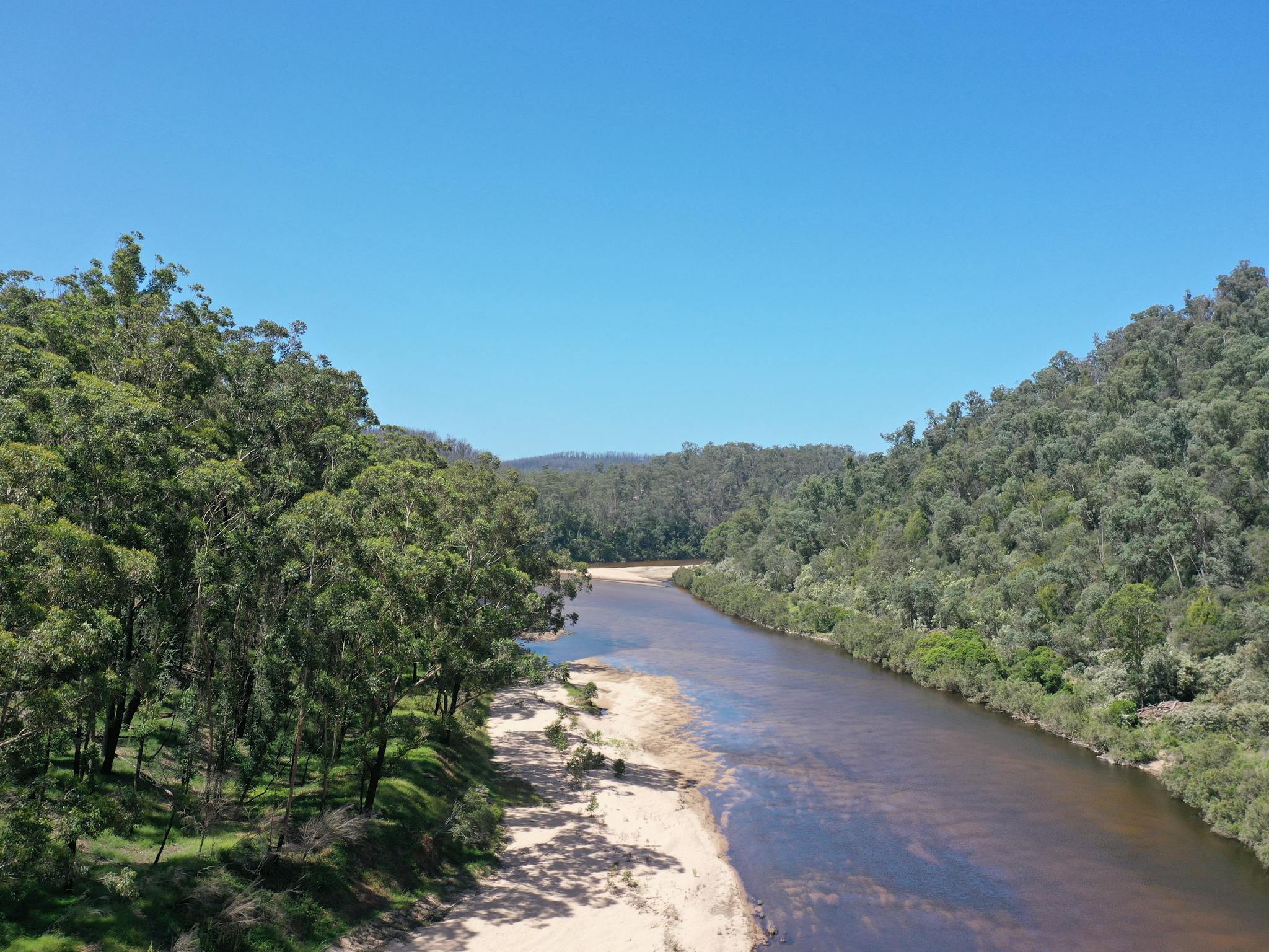 A wide river with a sandy bank surrounded by forest