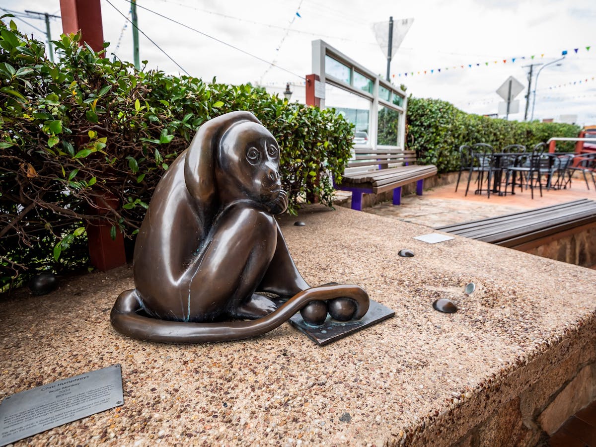 Brass Monkey Street Art in Stanthorpe