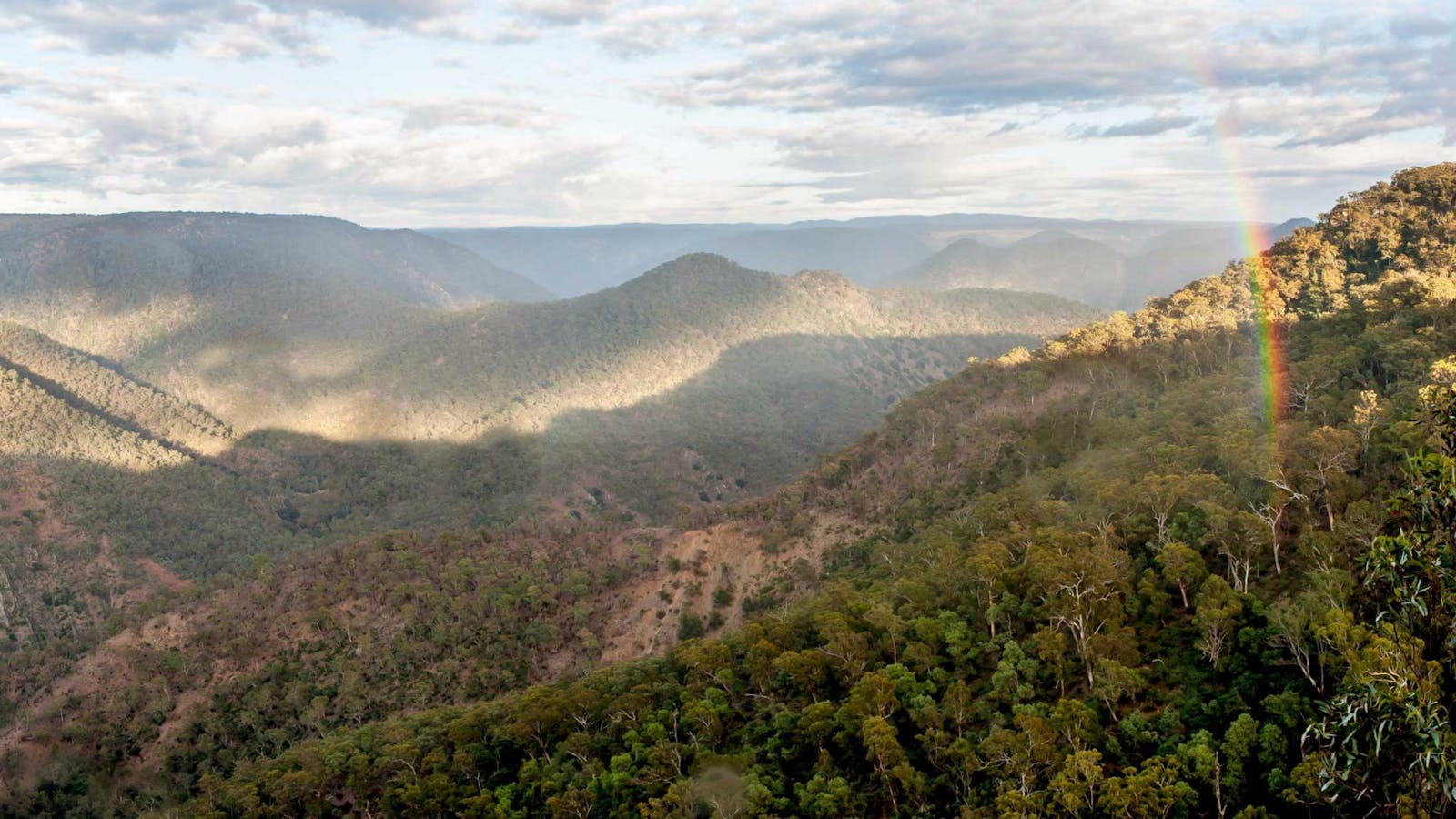 Badgerys Spur Walking Track