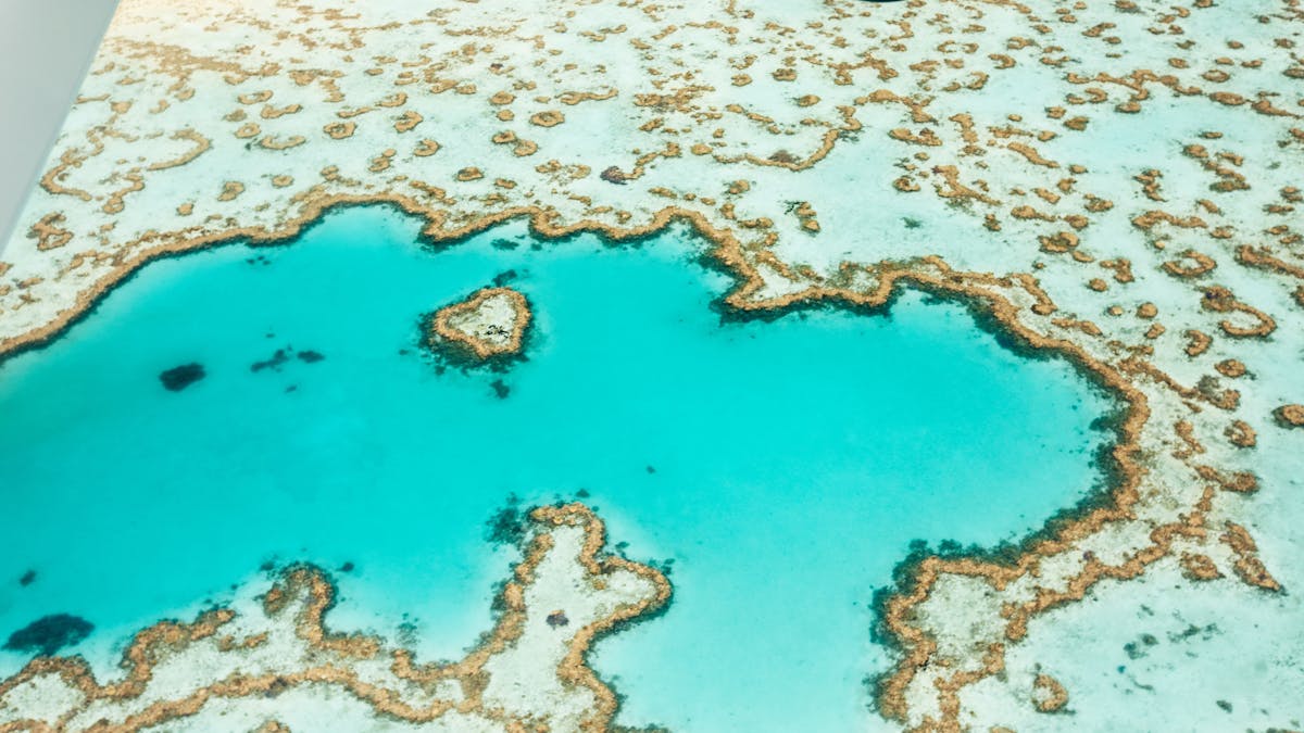 Aerial view of the calm turquoise water surrounded by coral reefs including heart shaped reef