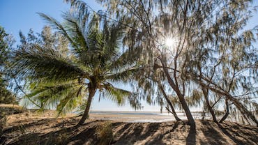 View of Lynch's Beach over the sand dune