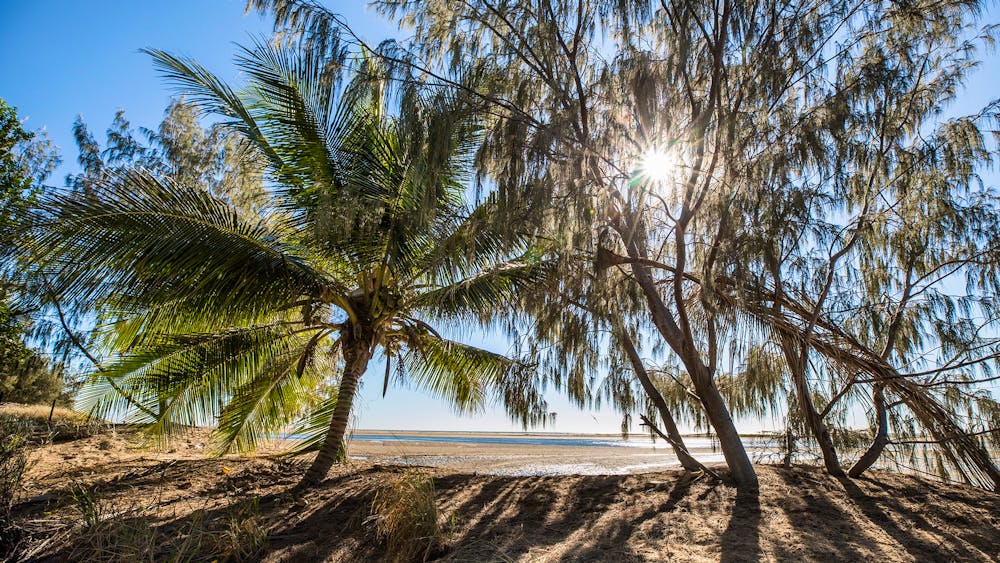 Alva (Lynch’s Beach)