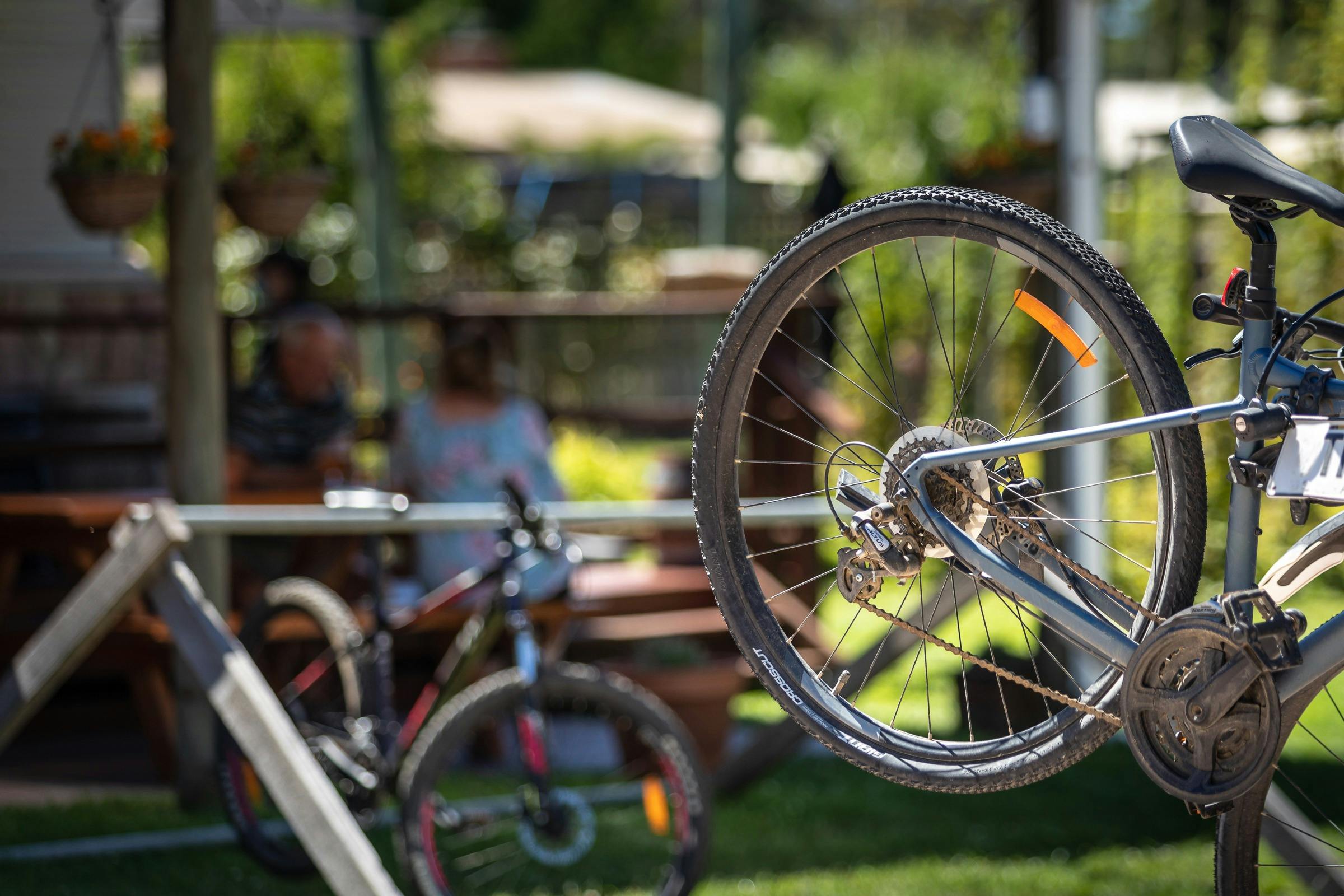 Bicycles hanging on a bike rack with people and the hop garden in the background