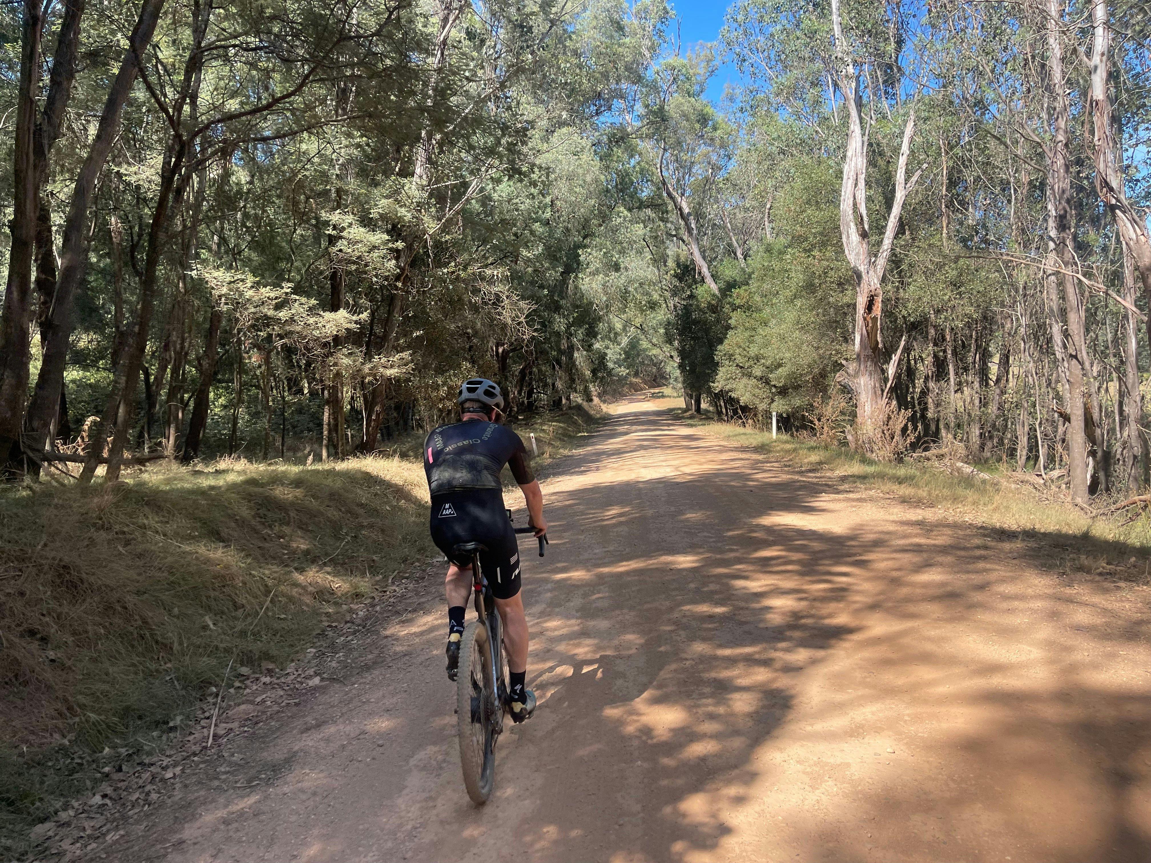 Cyclist on rusty coloured gravel road, through bushy scrub, trees