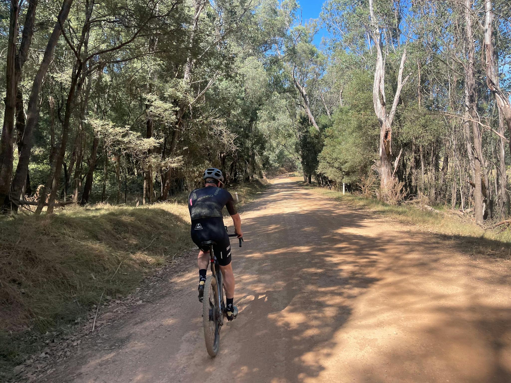 Cyclist on rusty coloured gravel road, through bushy scrub, trees