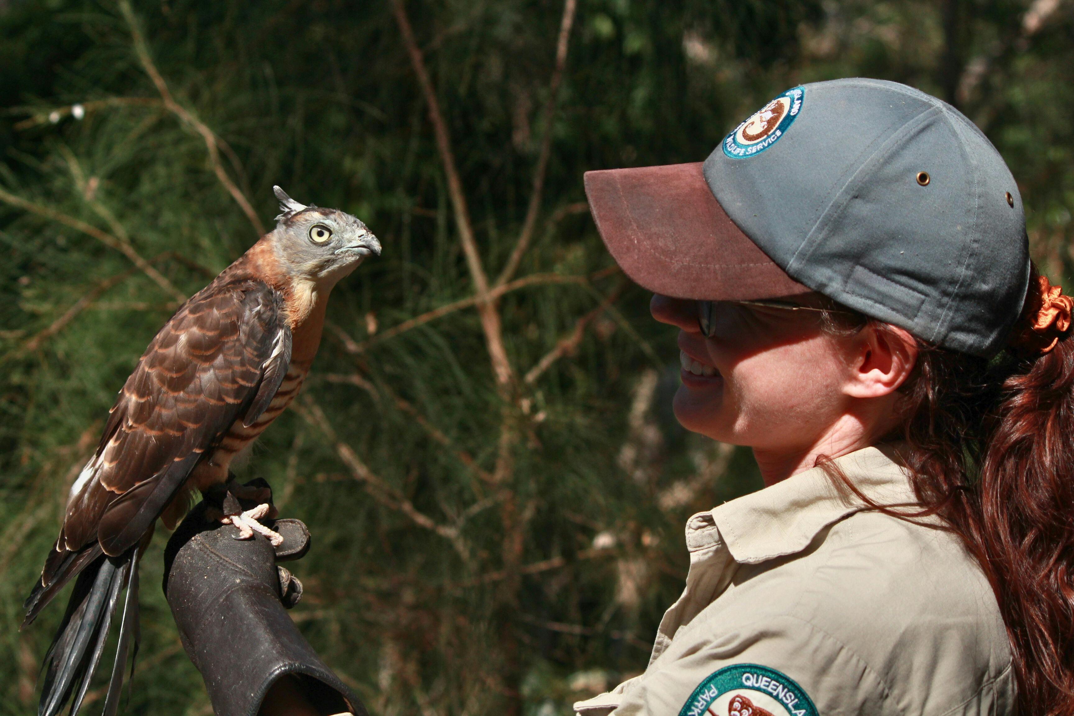 Enjoy ranger wildlife talks