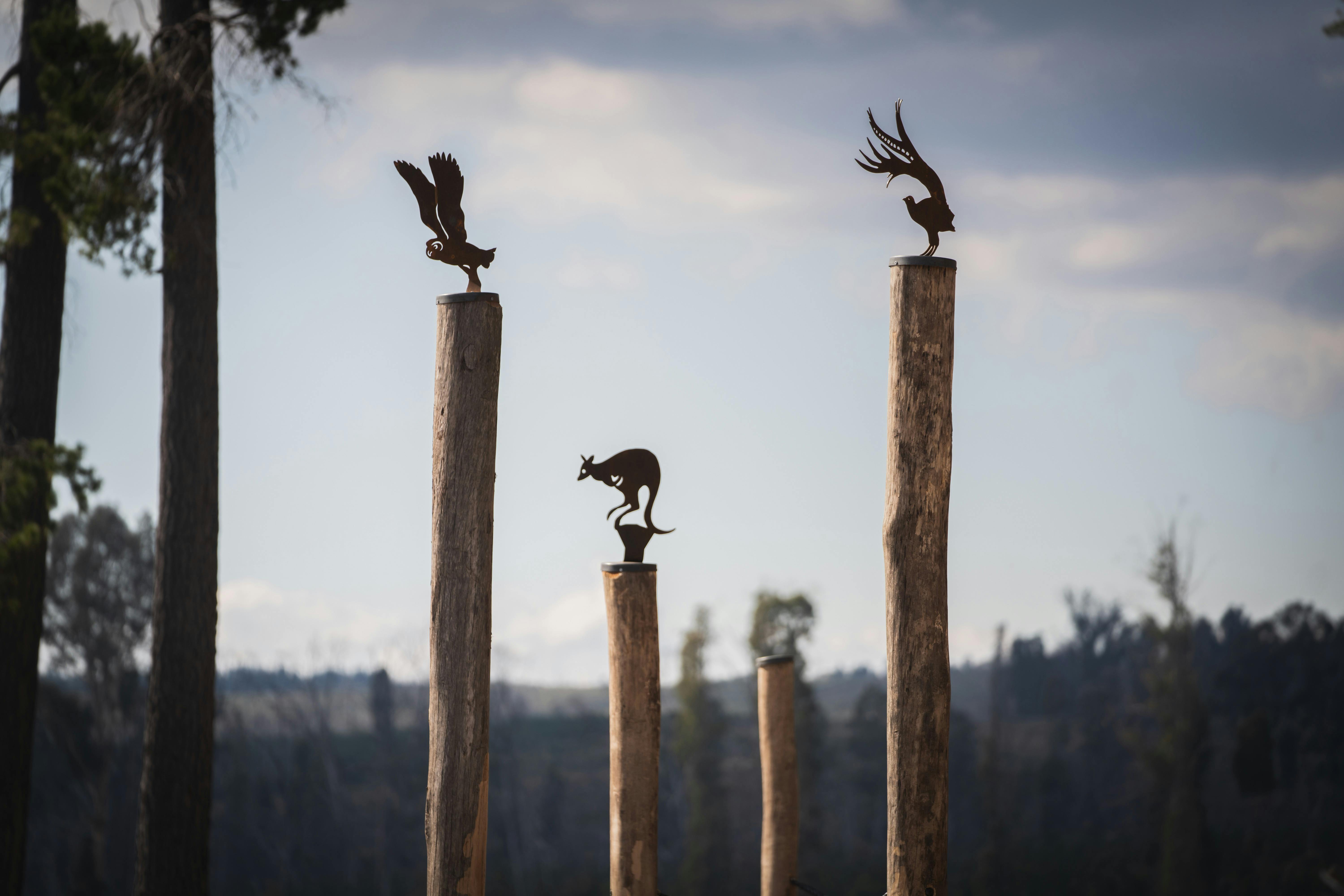 Playground sculptural elements at Sugar Pines