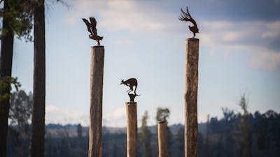 Playground sculptural elements at Sugar Pines