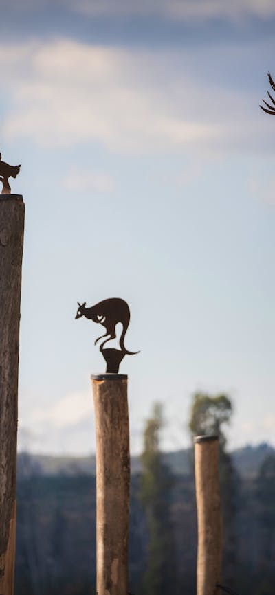 Playground sculptural elements at Sugar Pines