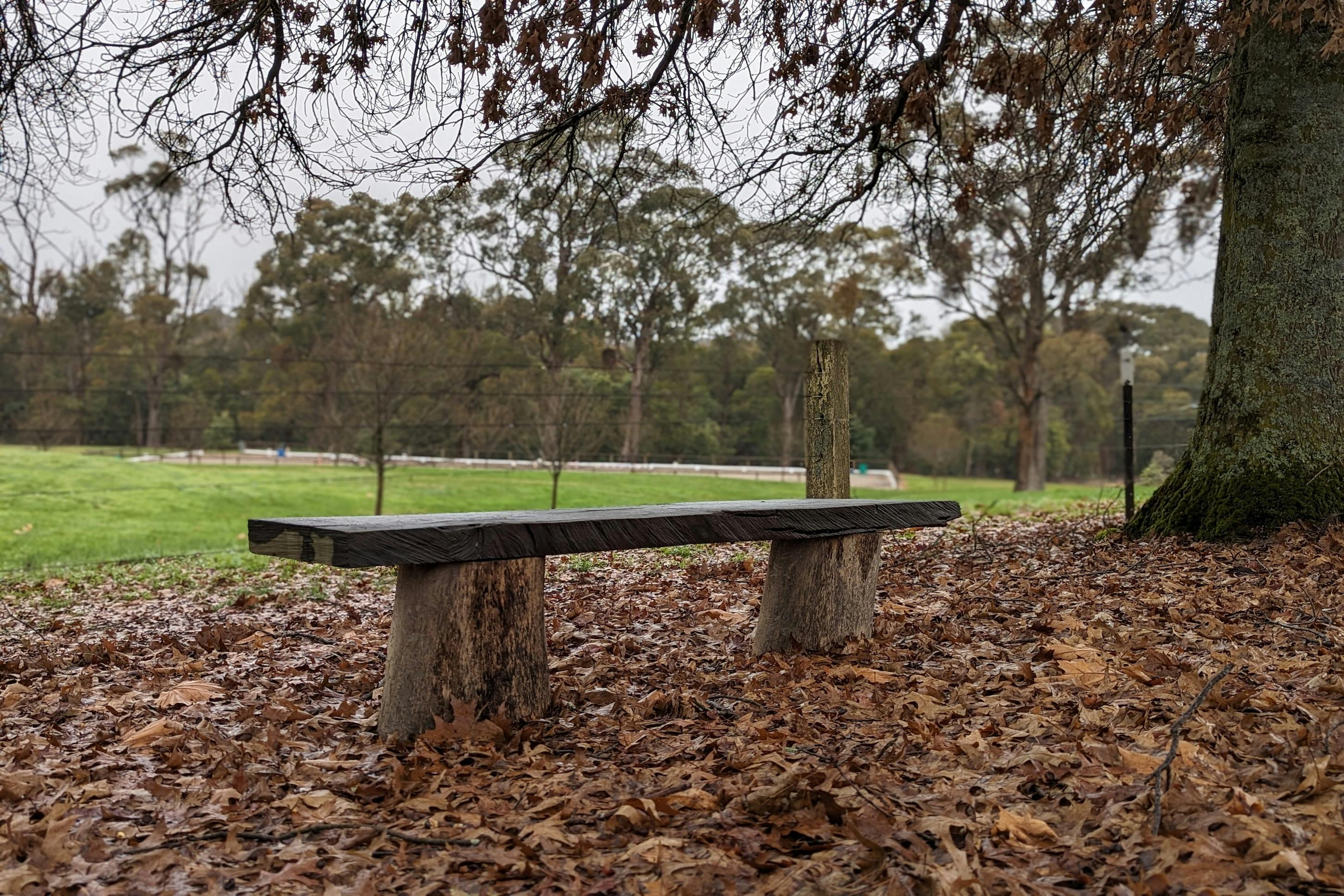 Timer bench seat amongst autumn leaves